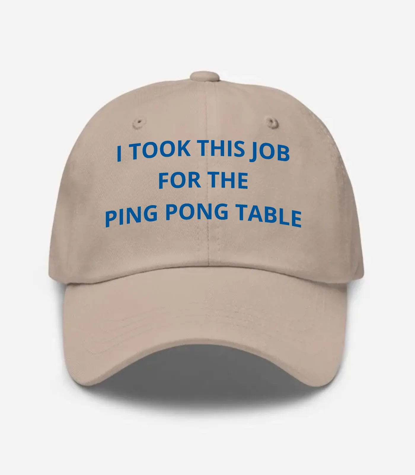 I Took This Job For The Ping Pong Table Hat