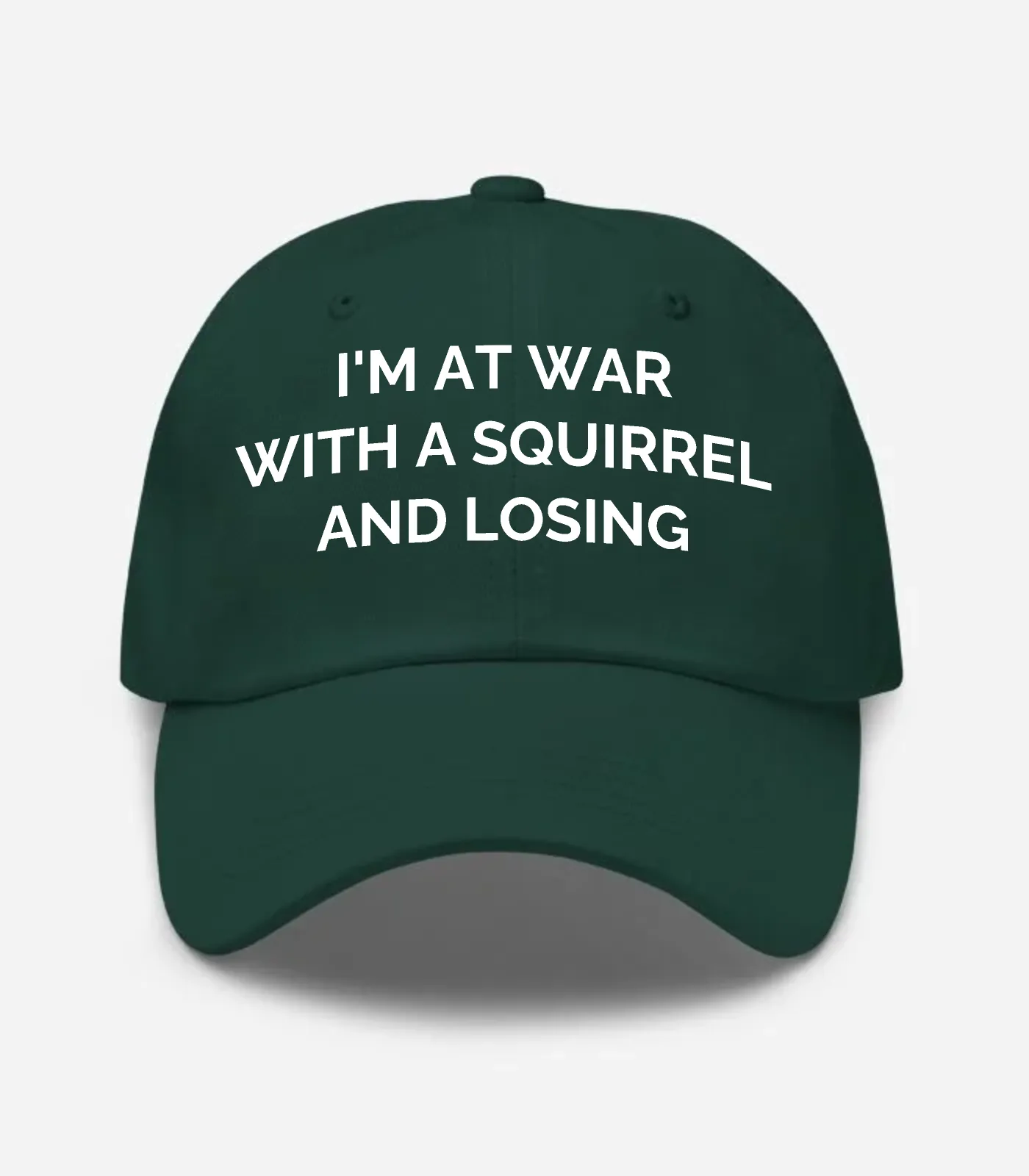 I'm At War With A Squirrel And Losing Hat - Spruce