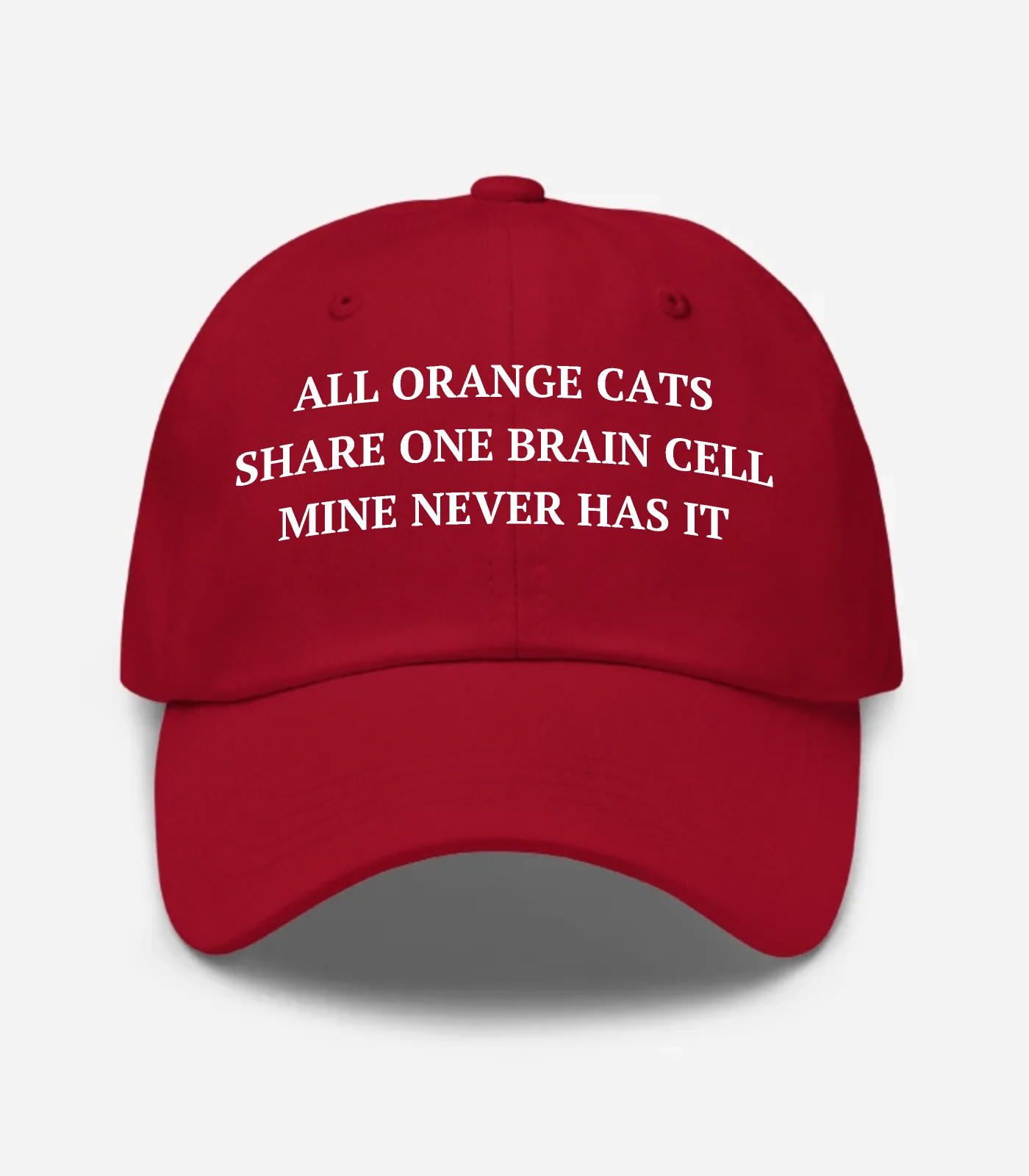 All Orange Cats Share One Brain Cell Mine Never Has It Hat