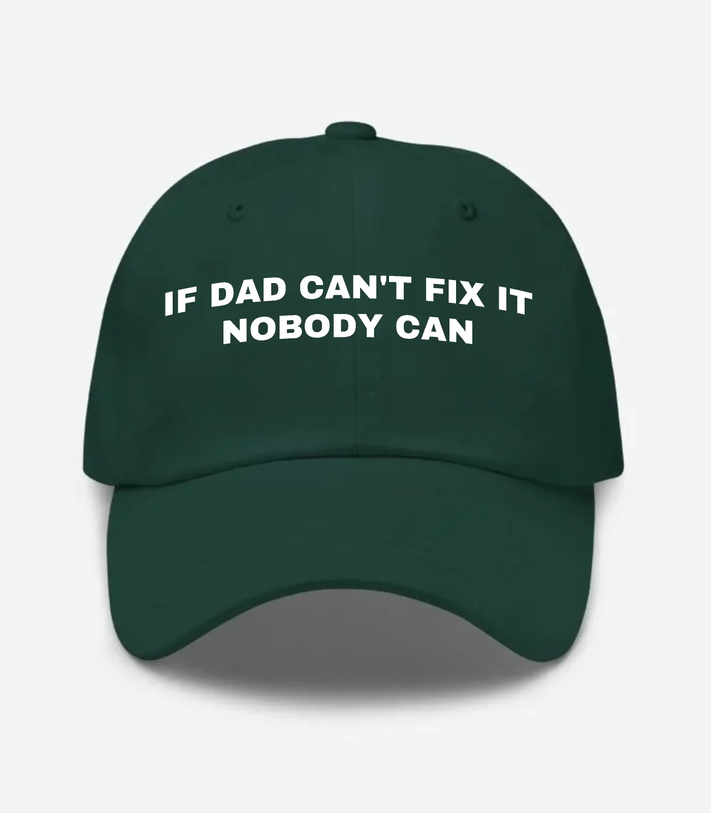 If Dad Can't Fix It Nobody Can Hat - Spruce