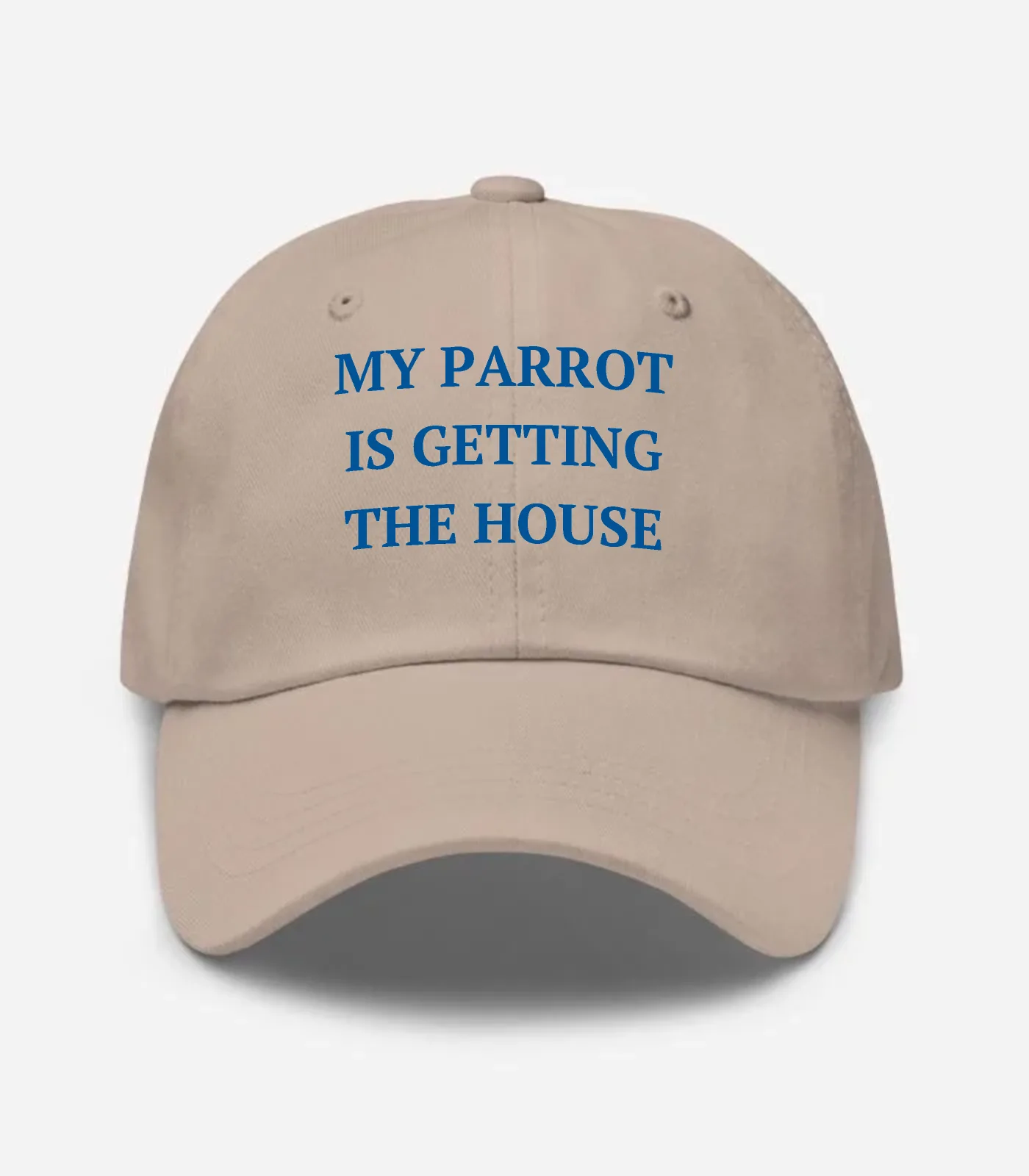 My Parrot Is Getting The House Hat
