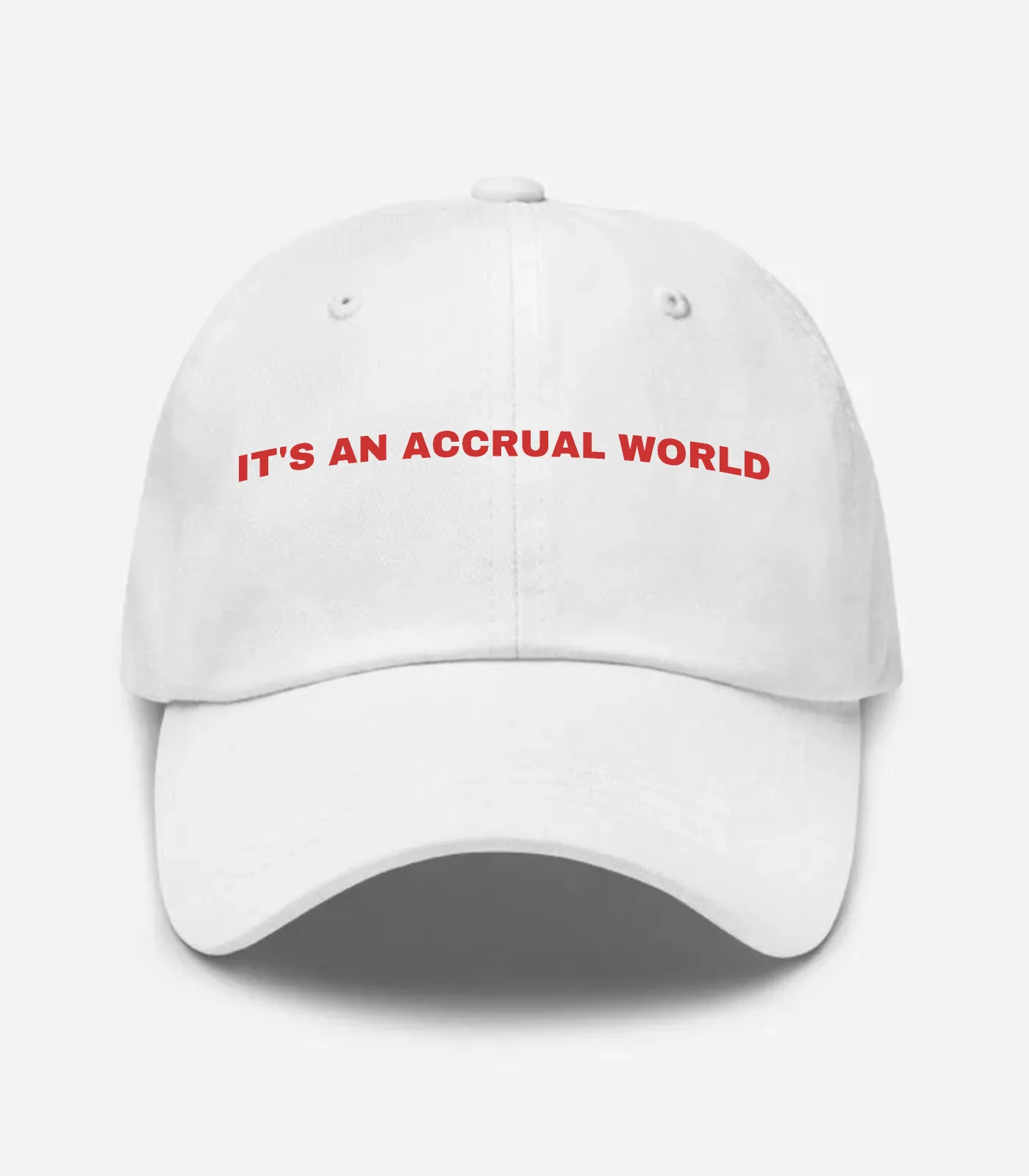 It's An Accrual World Hat