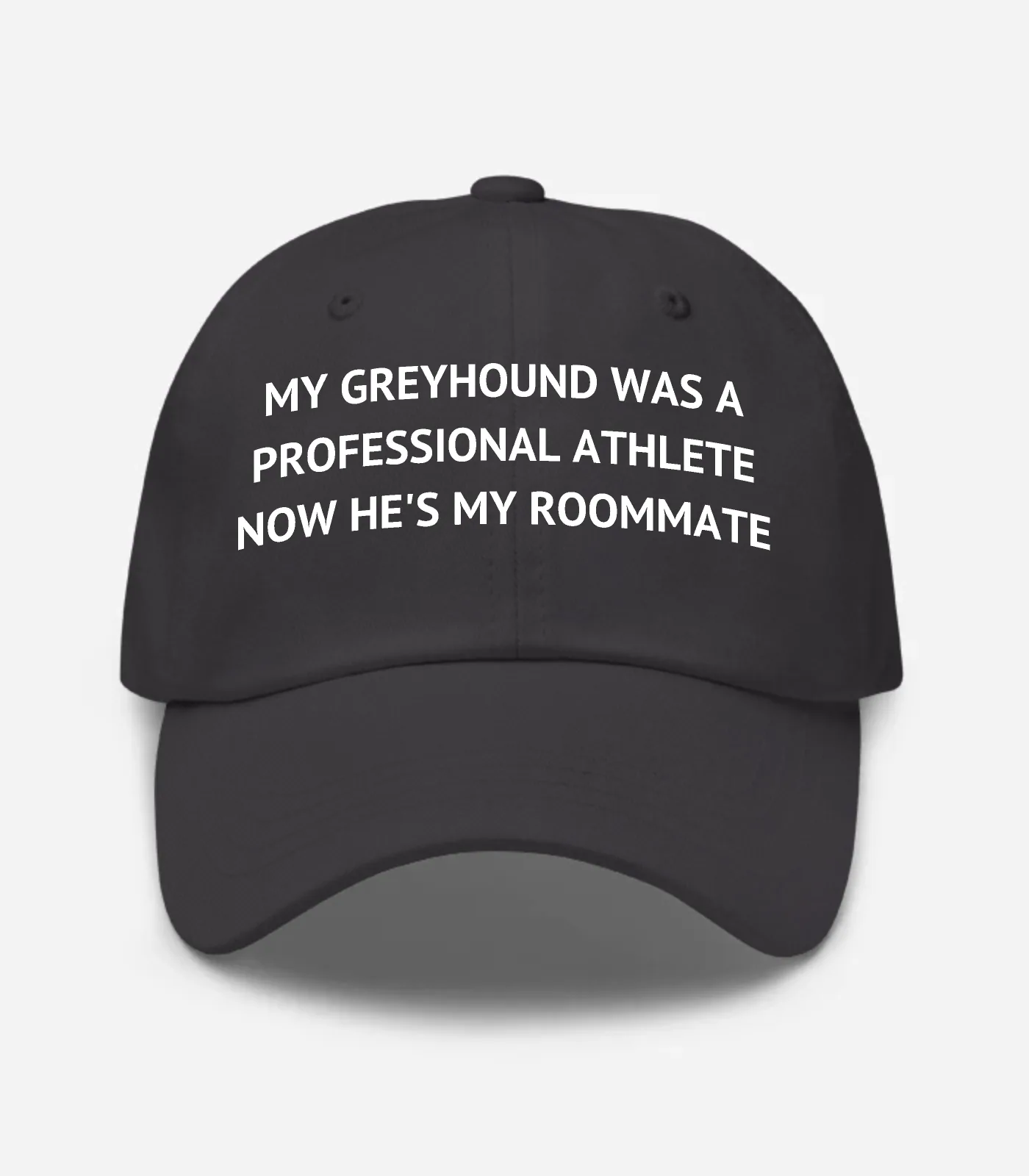My Greyhound Was A Professional Athlete Now He's My Roommate Hat