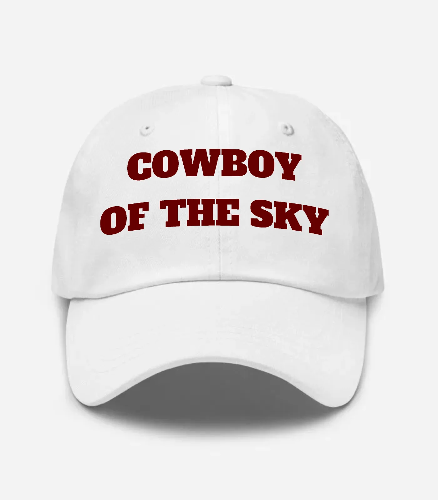 Cowboy Of The Sky Hat