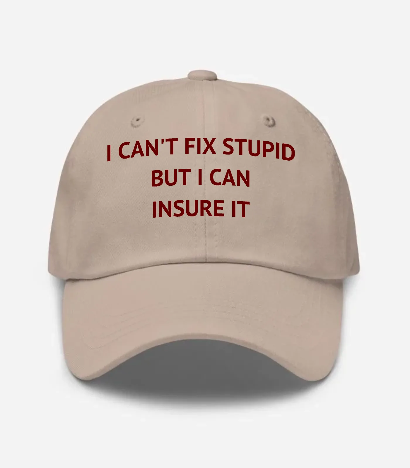 I Can't Fix Stupid But I Can Insure It Hat - Stone