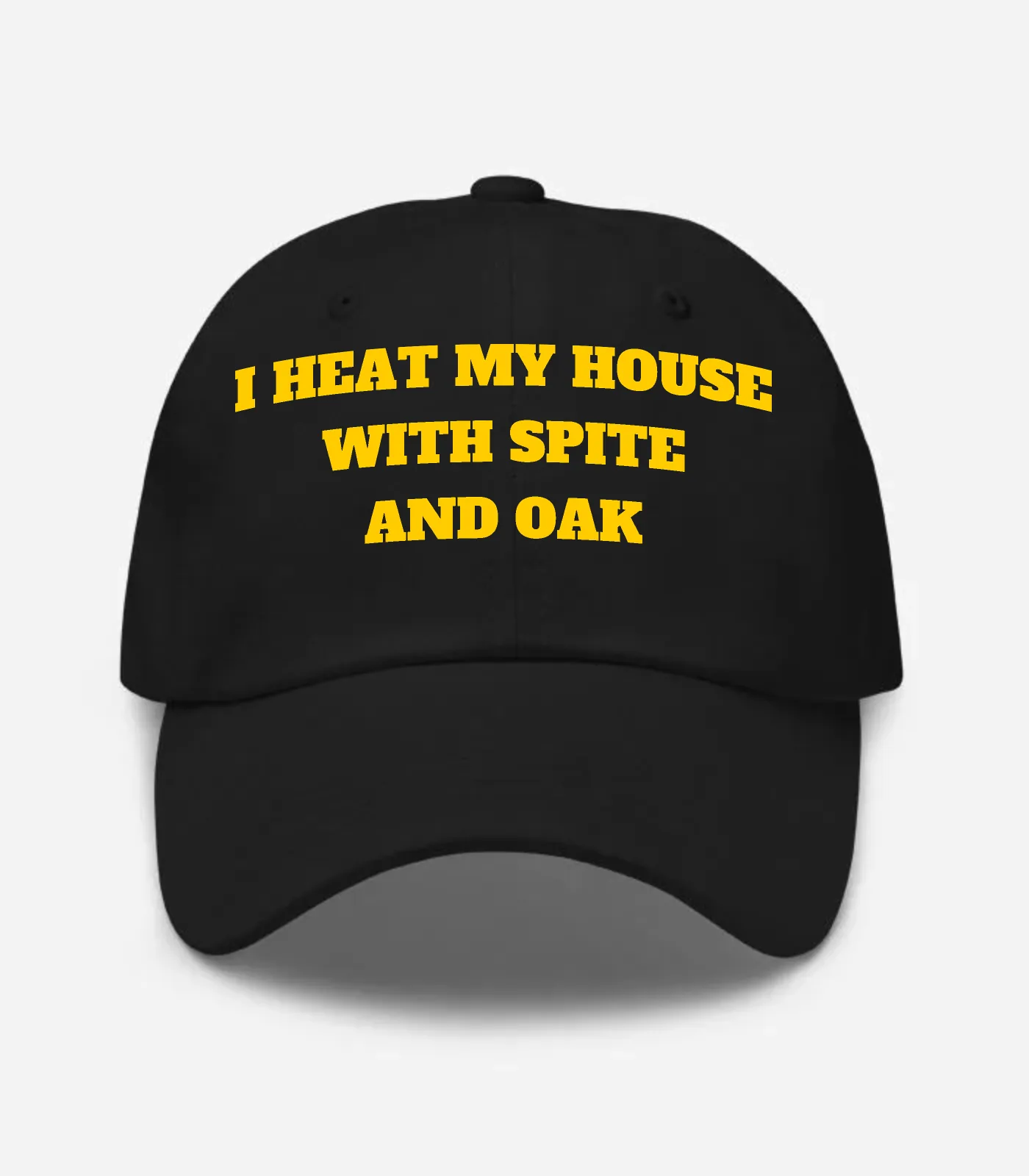 I Heat My House With Spite And Oak Hat - Black