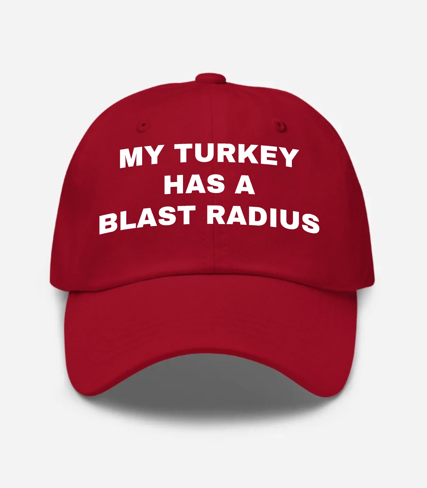 My Turkey Has A Blast Radius Hat