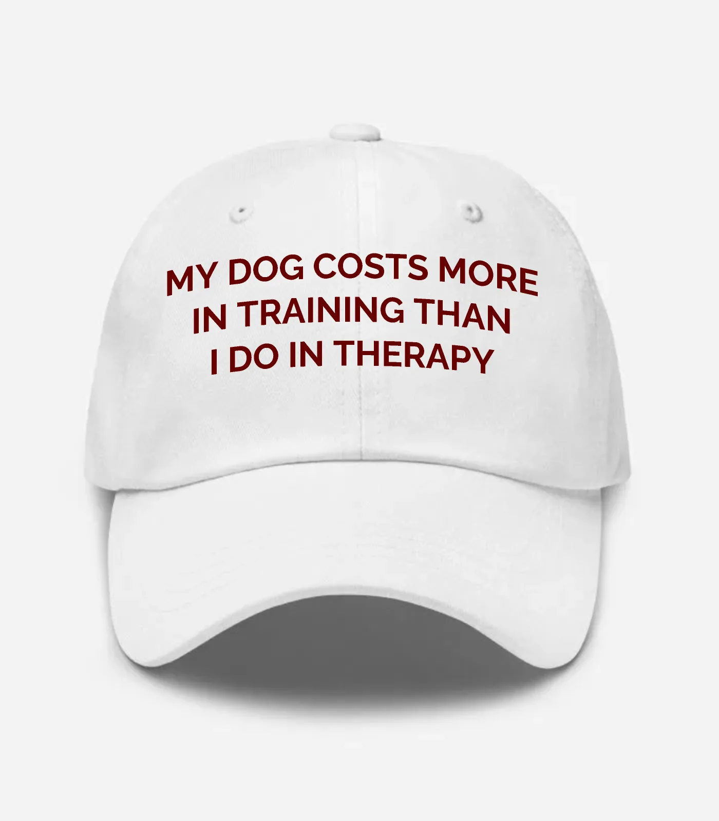 My Dog Costs More In Traini... Hat