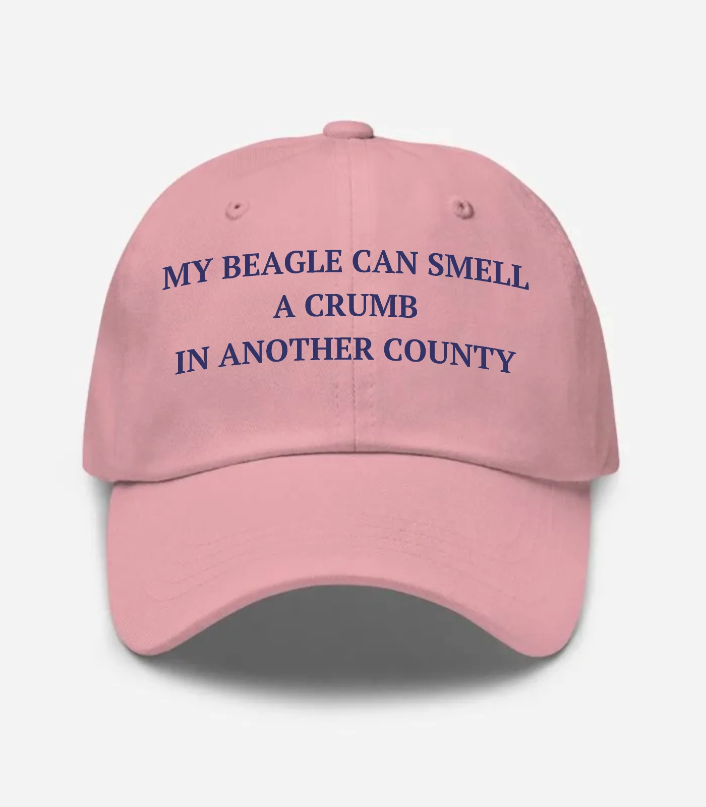 My Beagle Can Smell A Crumb In Another County Hat