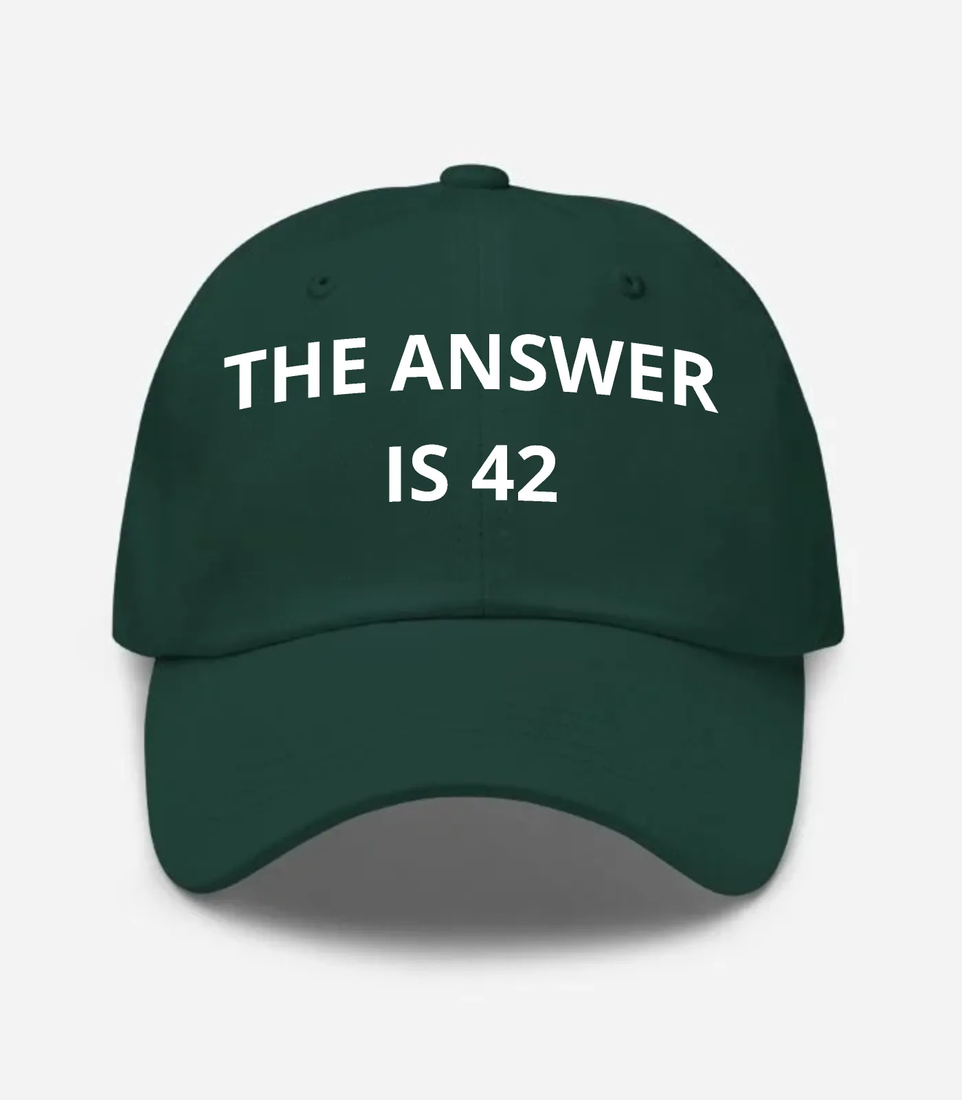 The Answer Is 42 Hat