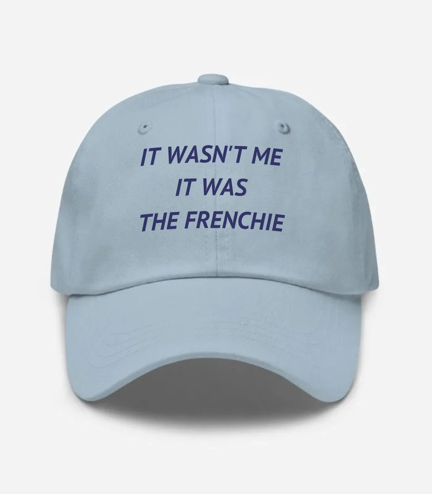It Wasn't Me It Was The Frenchie Hat - Light Blue