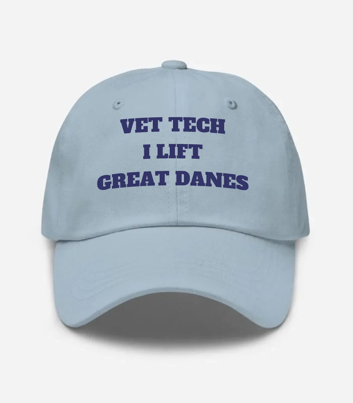 Vet Tech I Lift Great Danes Hat - Light Blue