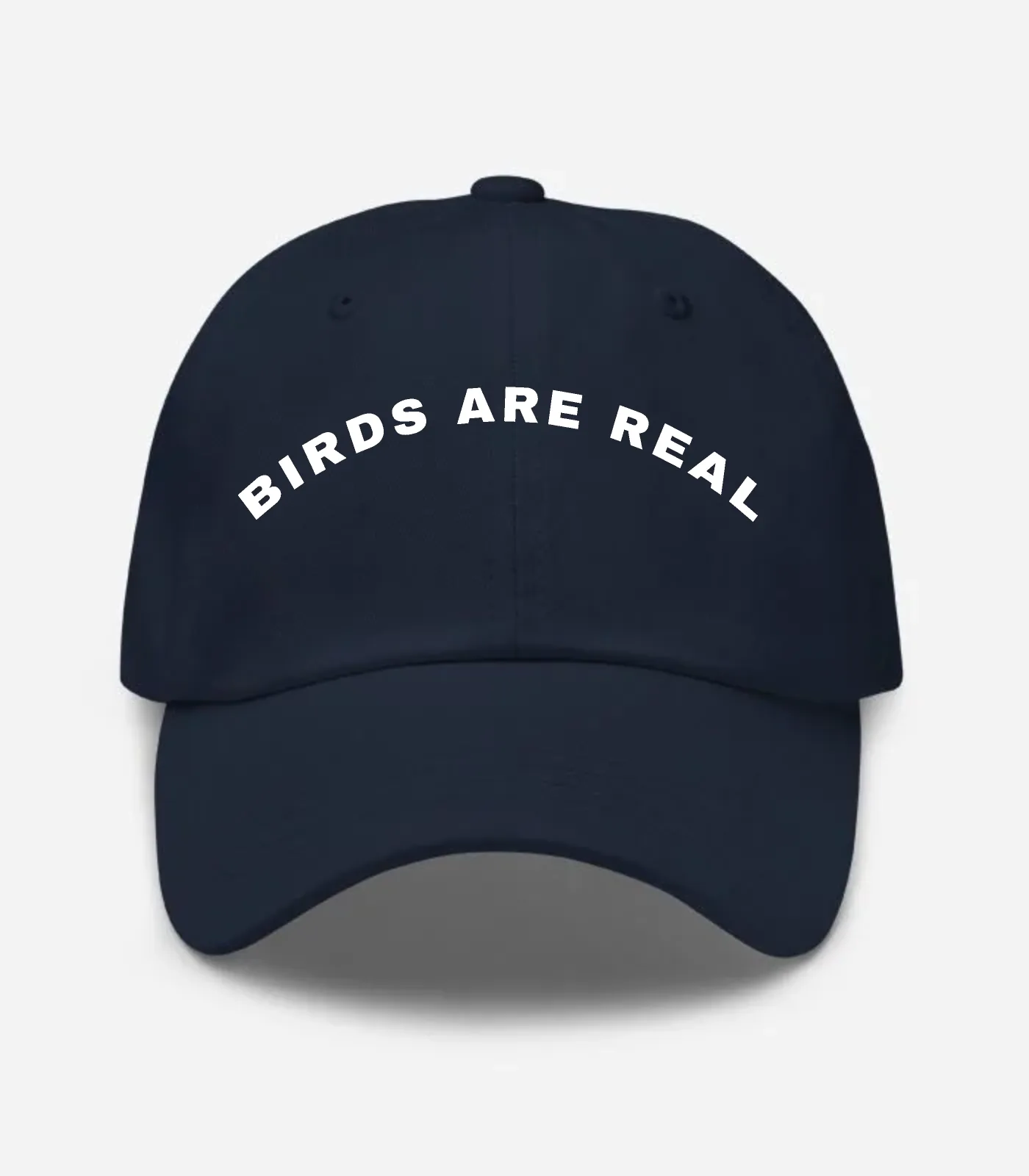 Birds Are Real Arched Hat