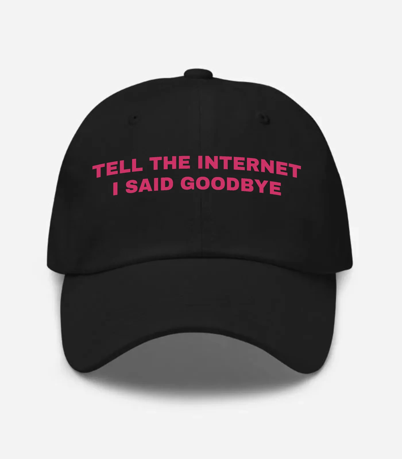 Tell The Internet I Said Goodbye Hat
