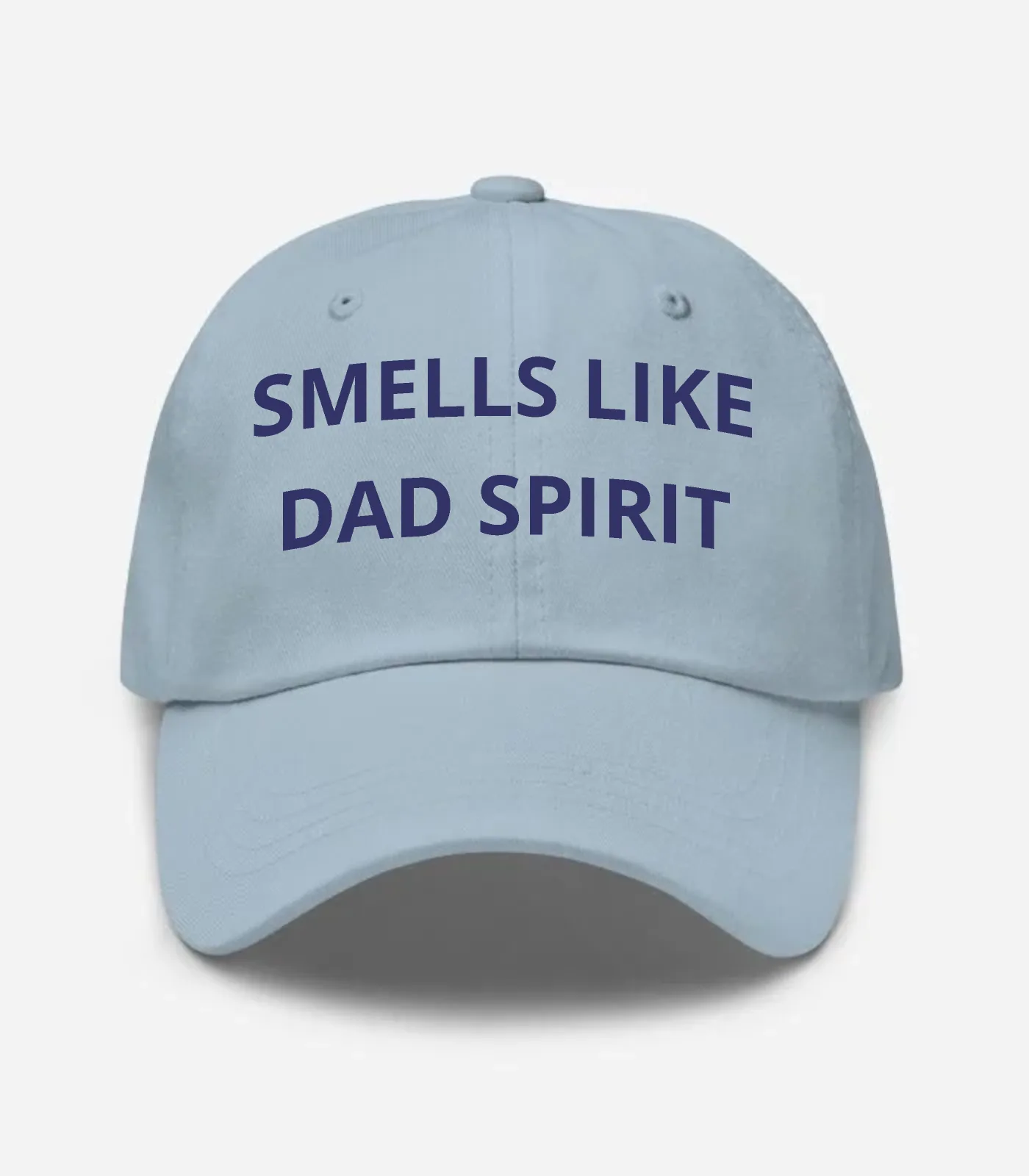 Smells Like Dad Spirit Hat - Light Blue