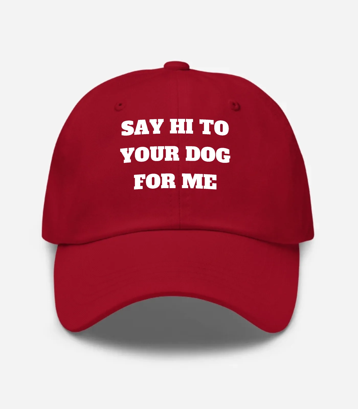 Say Hi To Your Dog For Me Hat - Cranberry