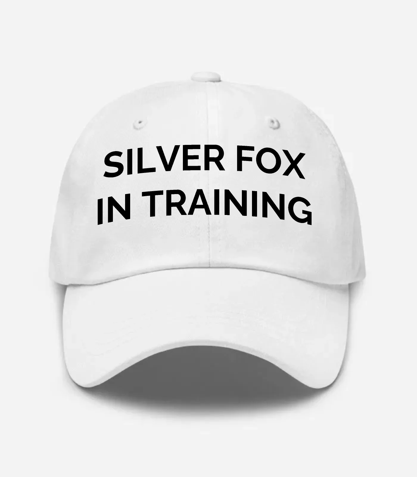 Silver Fox In Training Hat