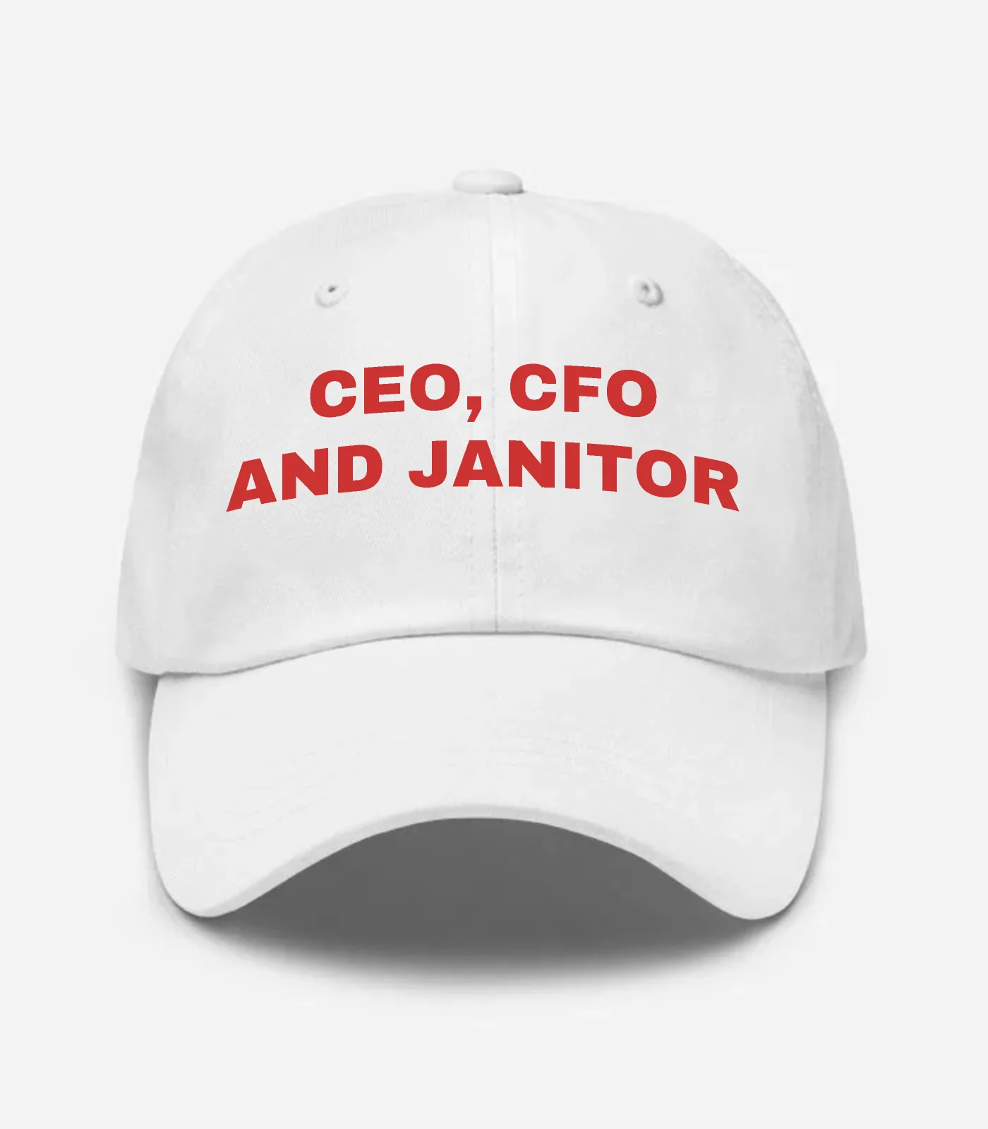 CEO, CFO And Janitor Hat
