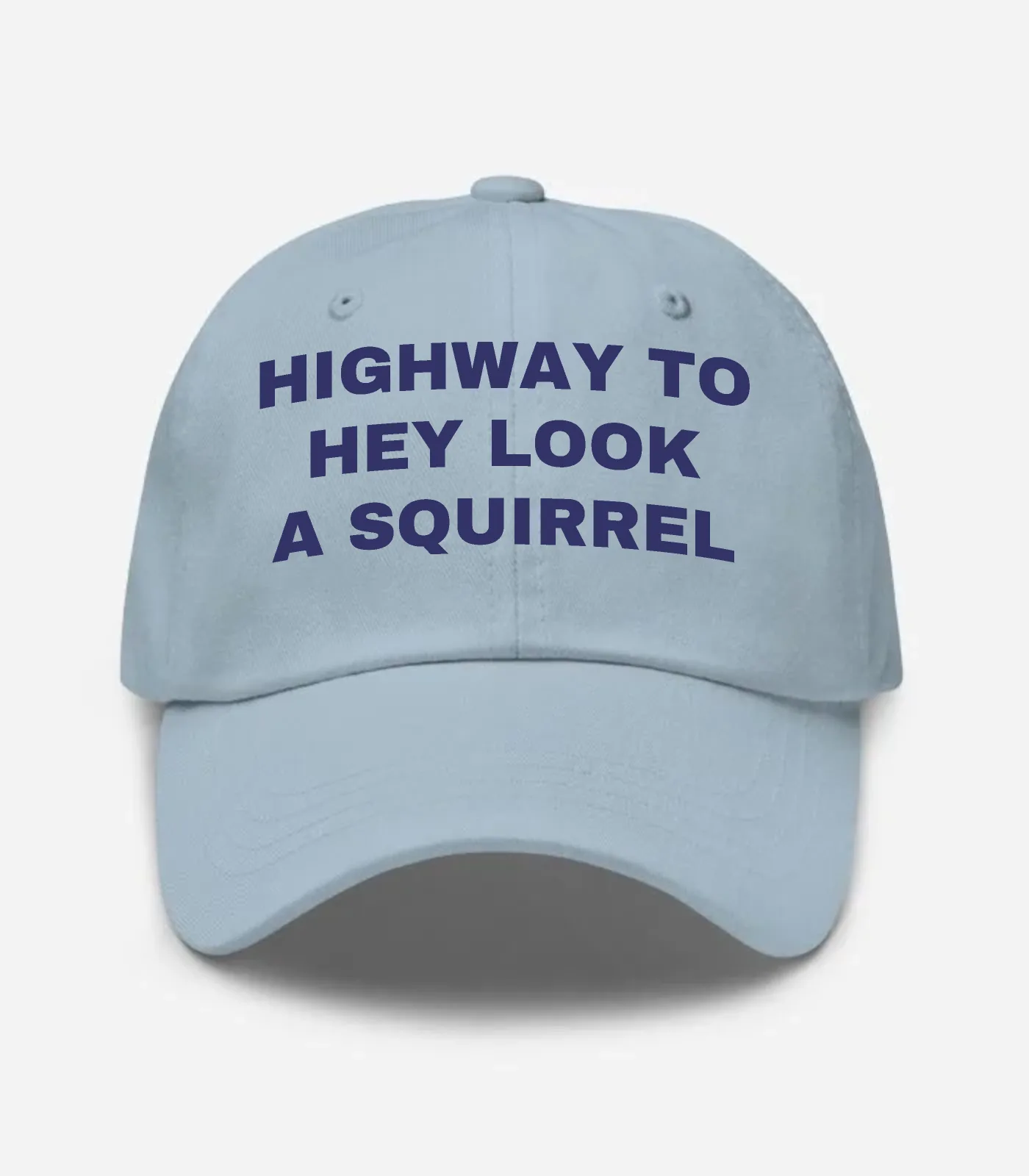 Highway To Hey Look A Squirrel Hat