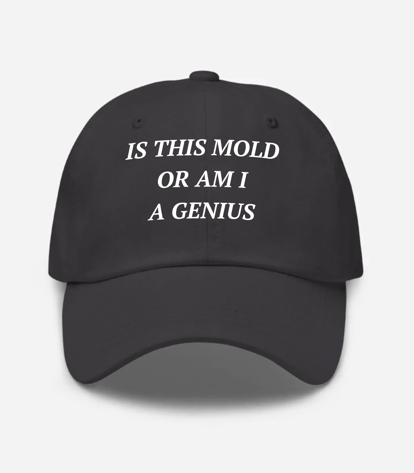 Is This Mold Or Am I A Genius Hat - Dark Grey
