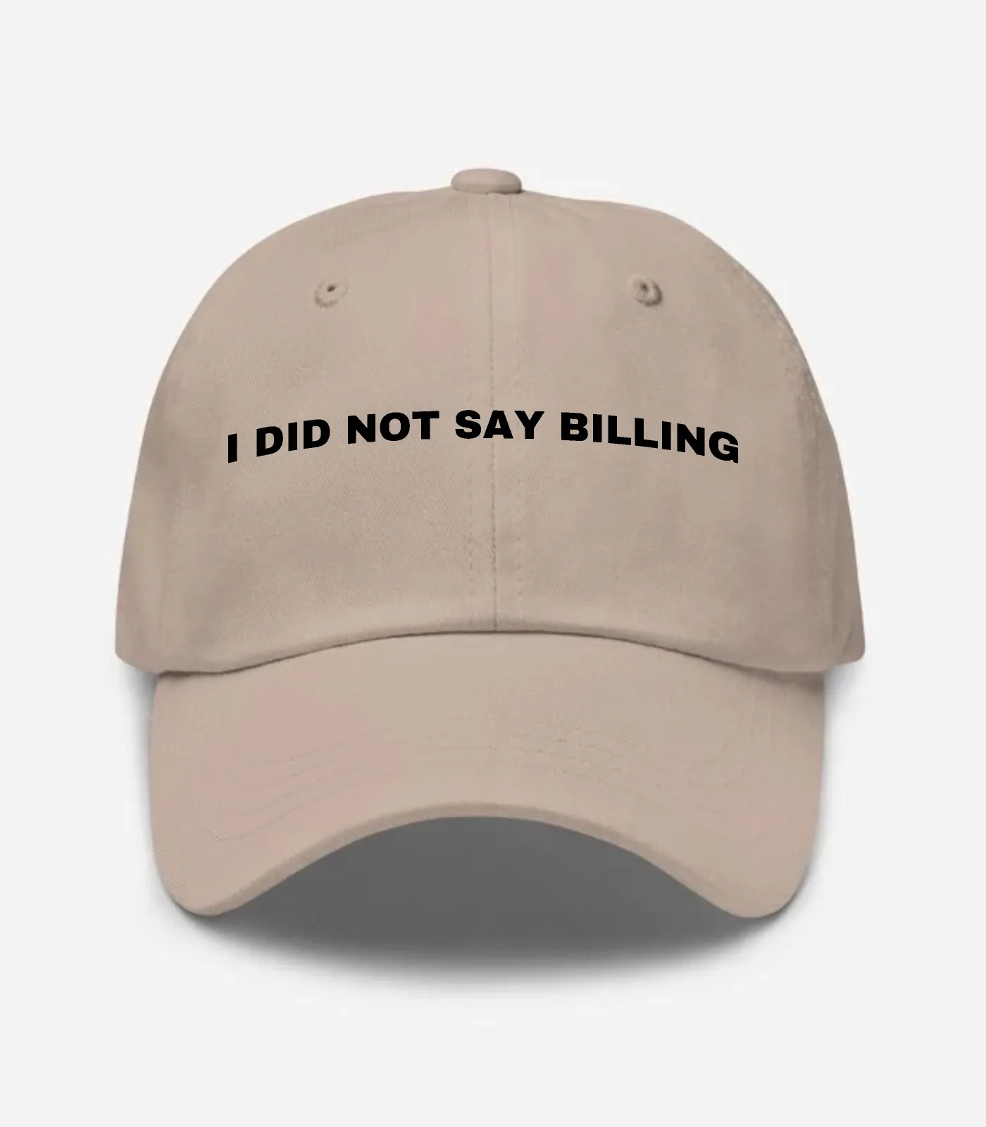 I Did Not Say Billing Hat - Stone