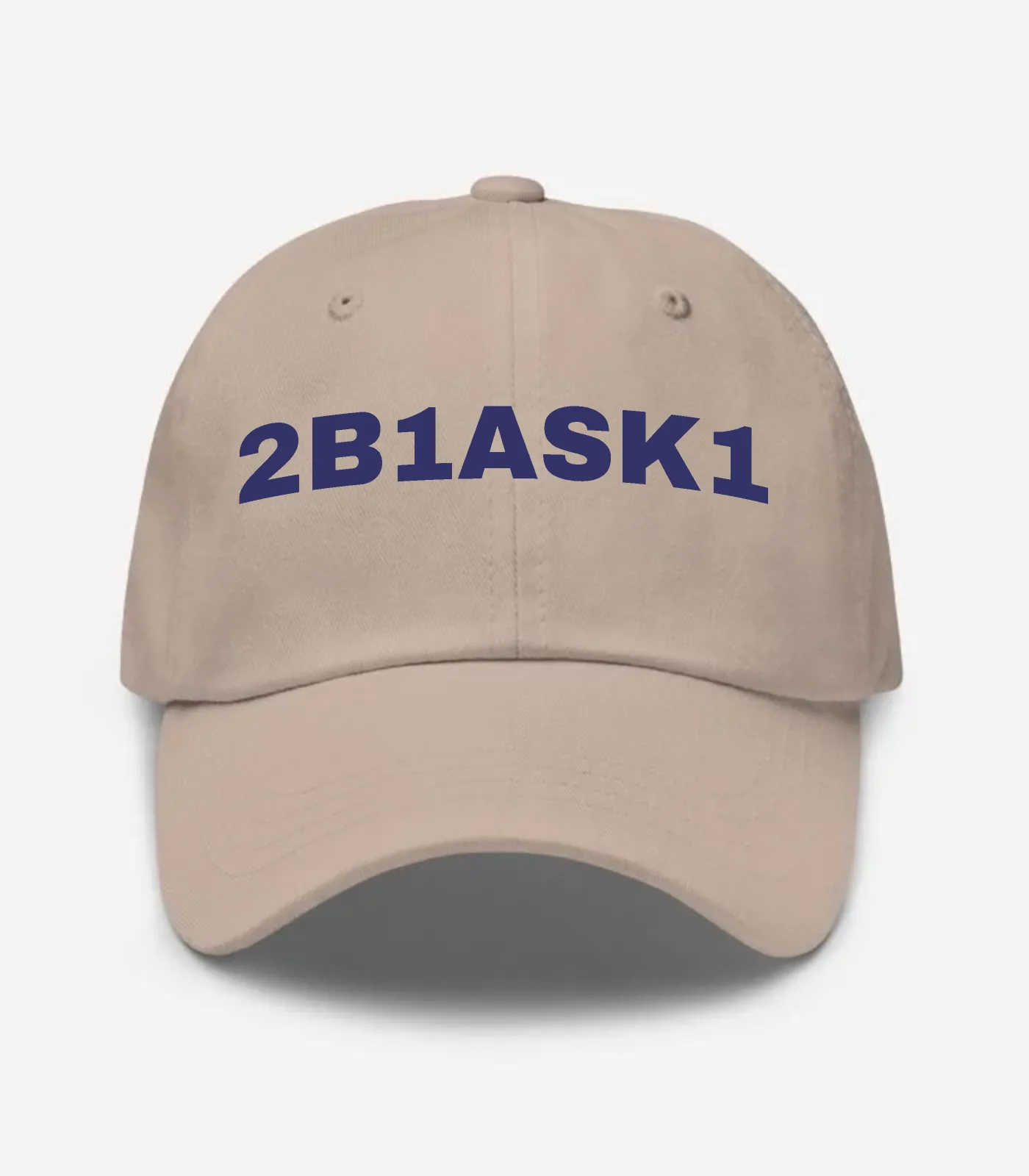 2B1ask1 Hat - Stone