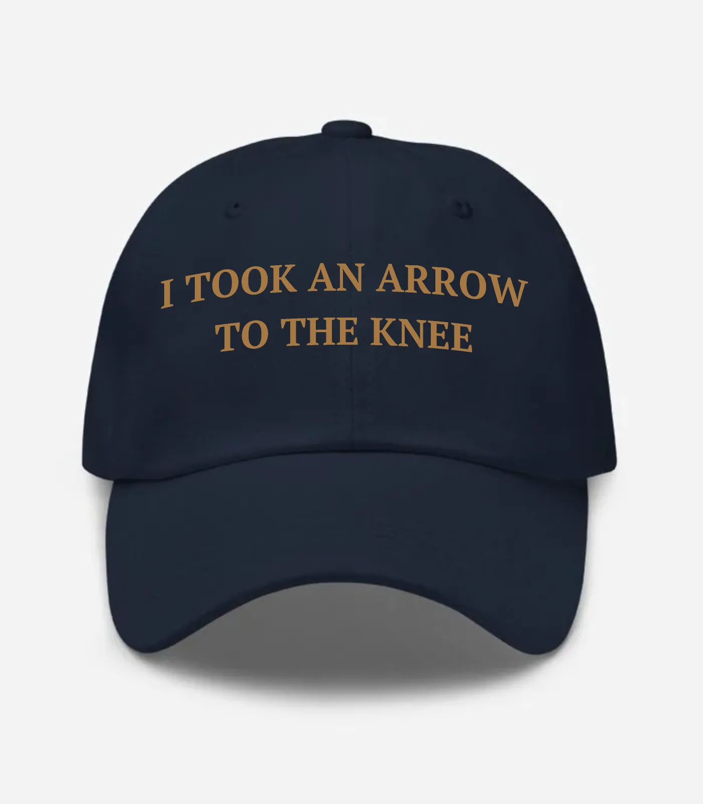 I Took An Arrow To The Knee Hat