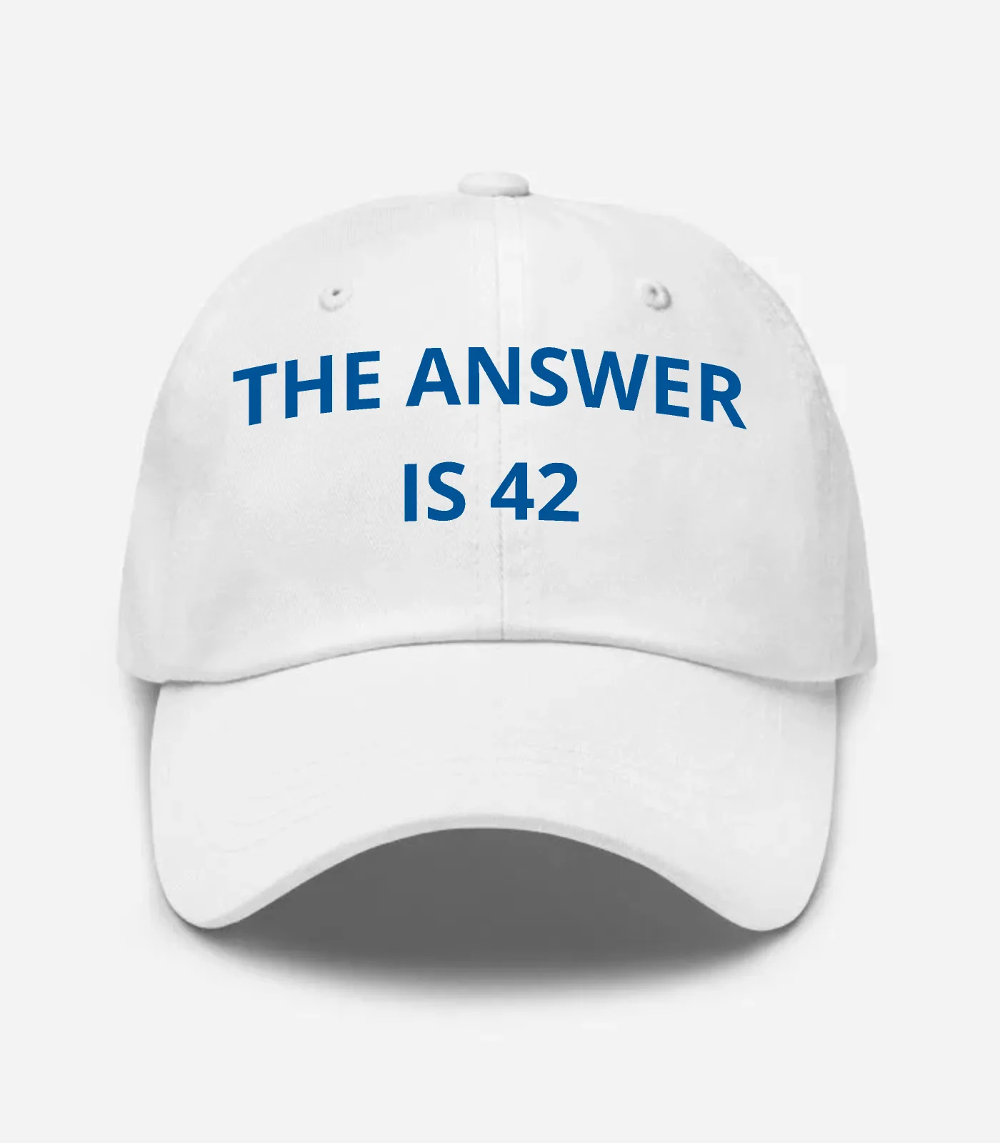 The Answer Is 42 Hat