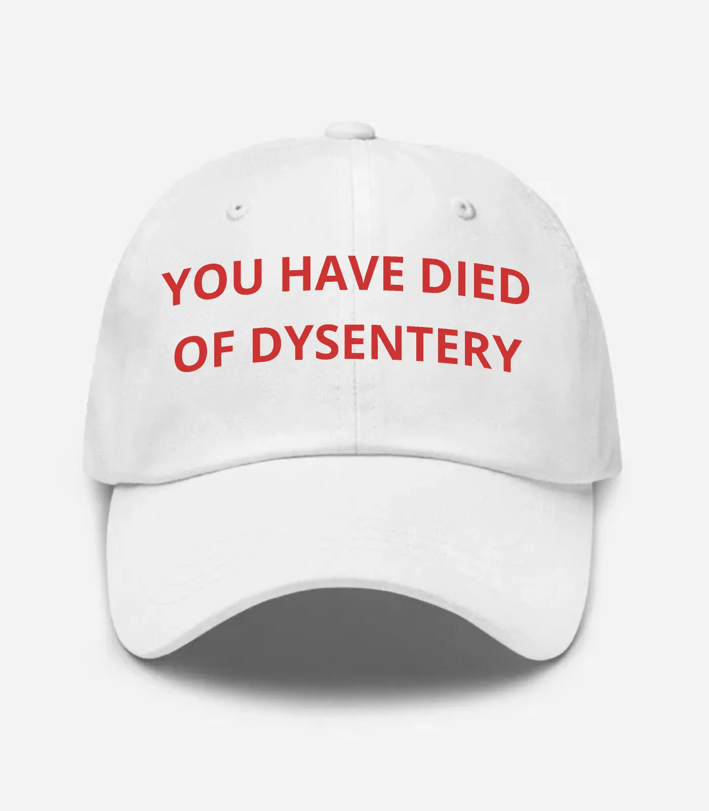 You Have Died Of Dysentery Hat