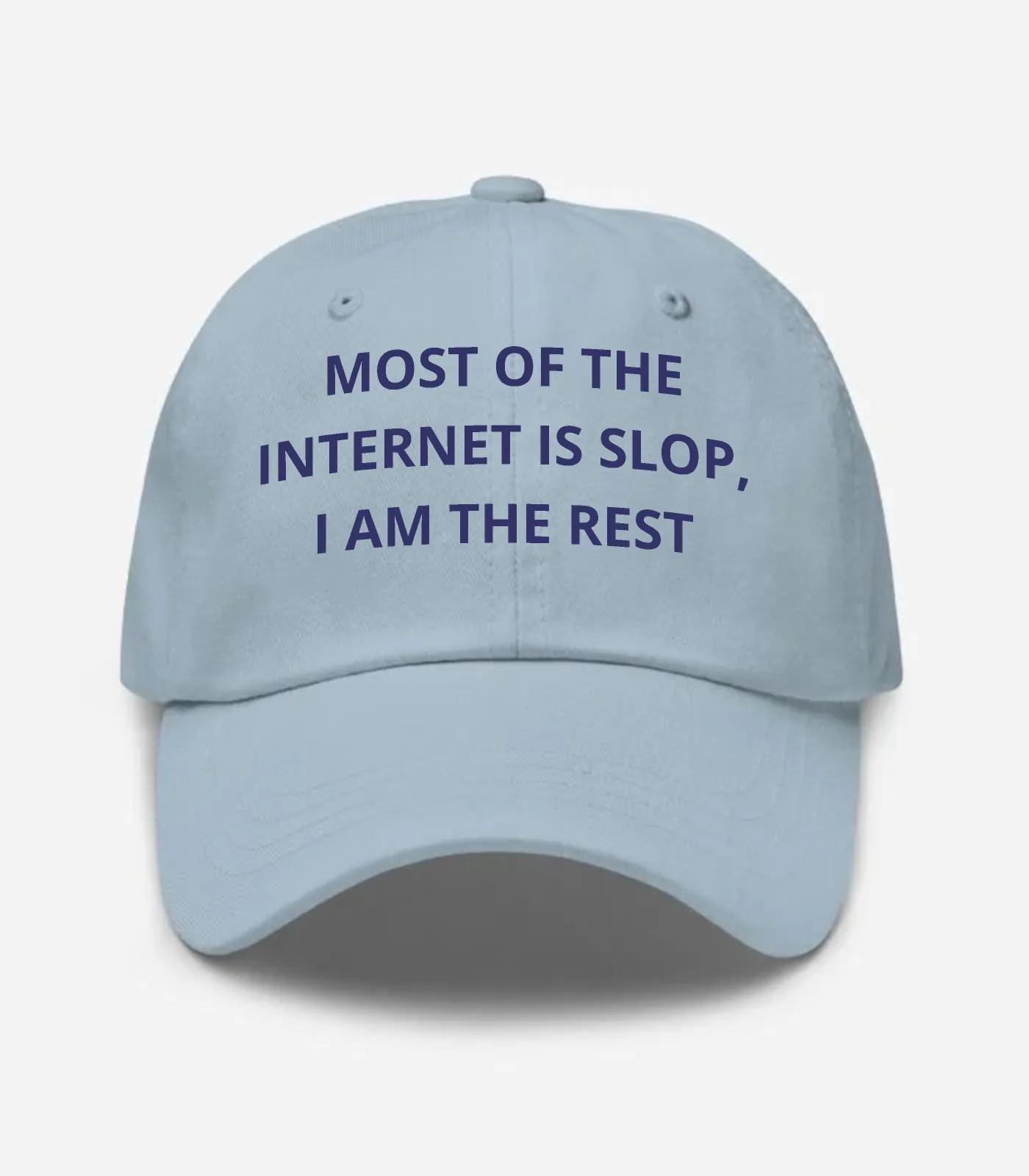 Most Of The Internet Is Slop, I Am The Rest Hat