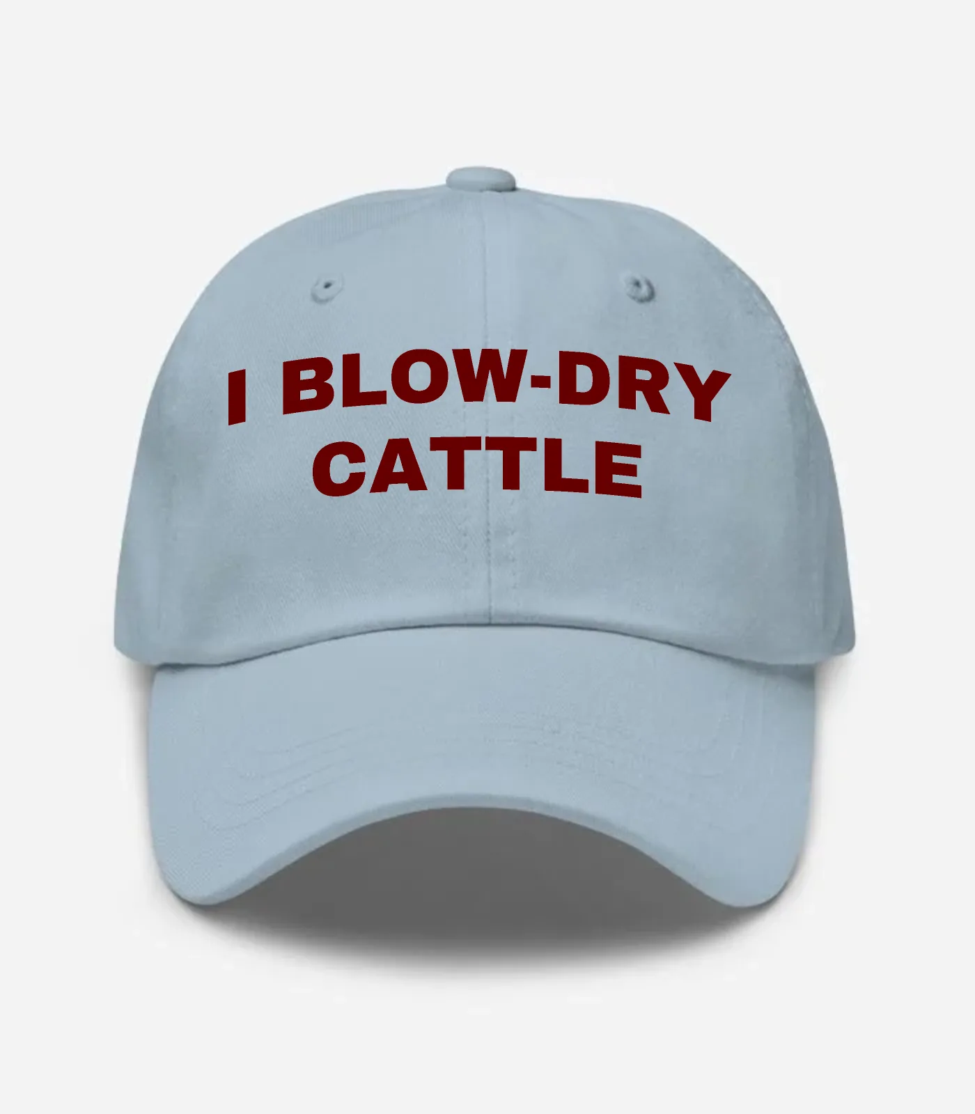 I Blow-dry Cattle Hat - Light Blue