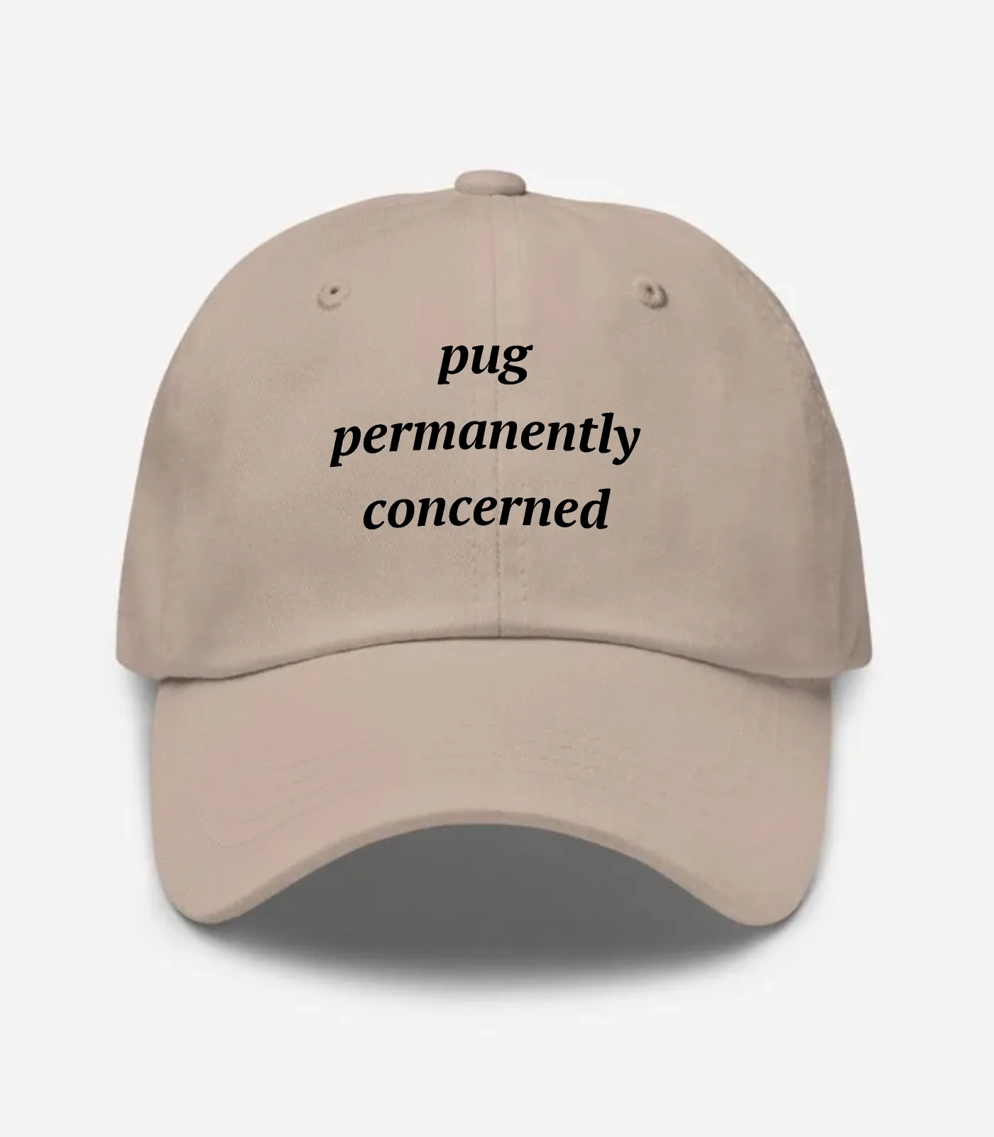 Pug Permanently Concerned Hat - Stone