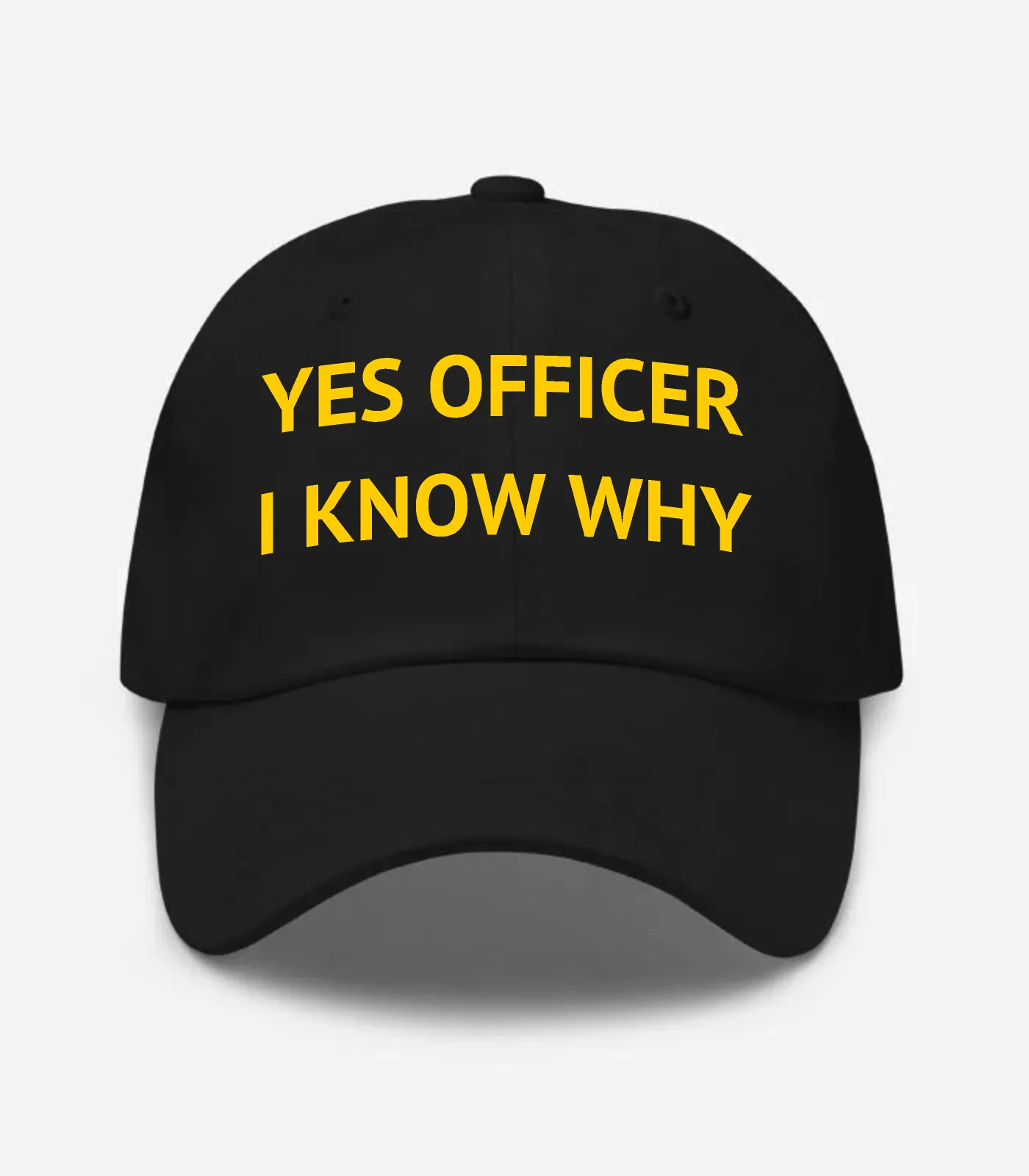 Yes Officer I Know Why Hat