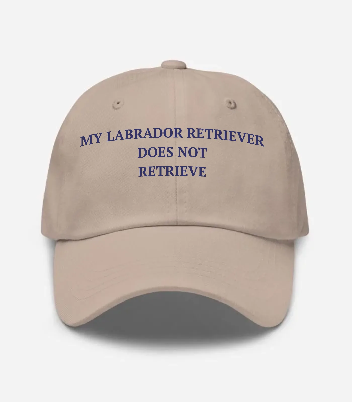 My Labrador Retriever Does Not Retrieve Hat