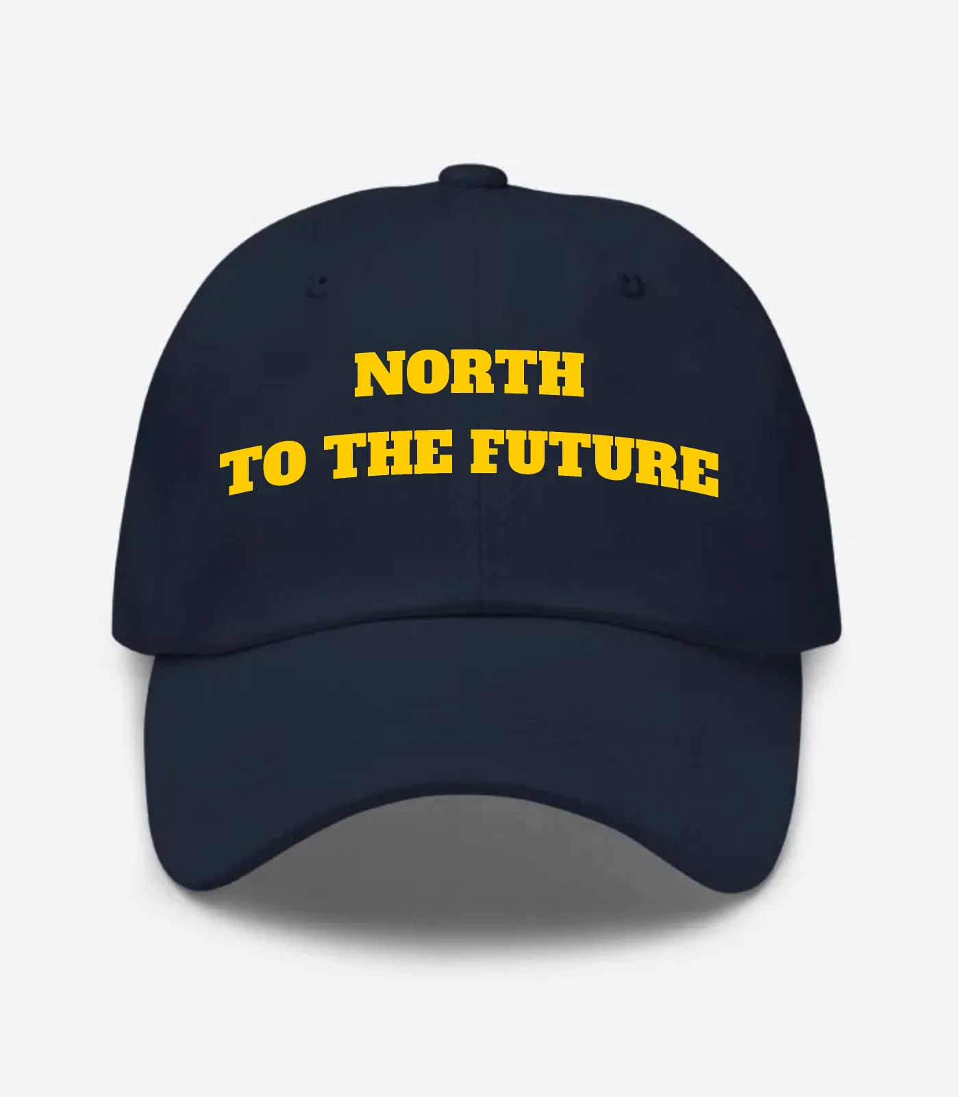 North To The Future Hat