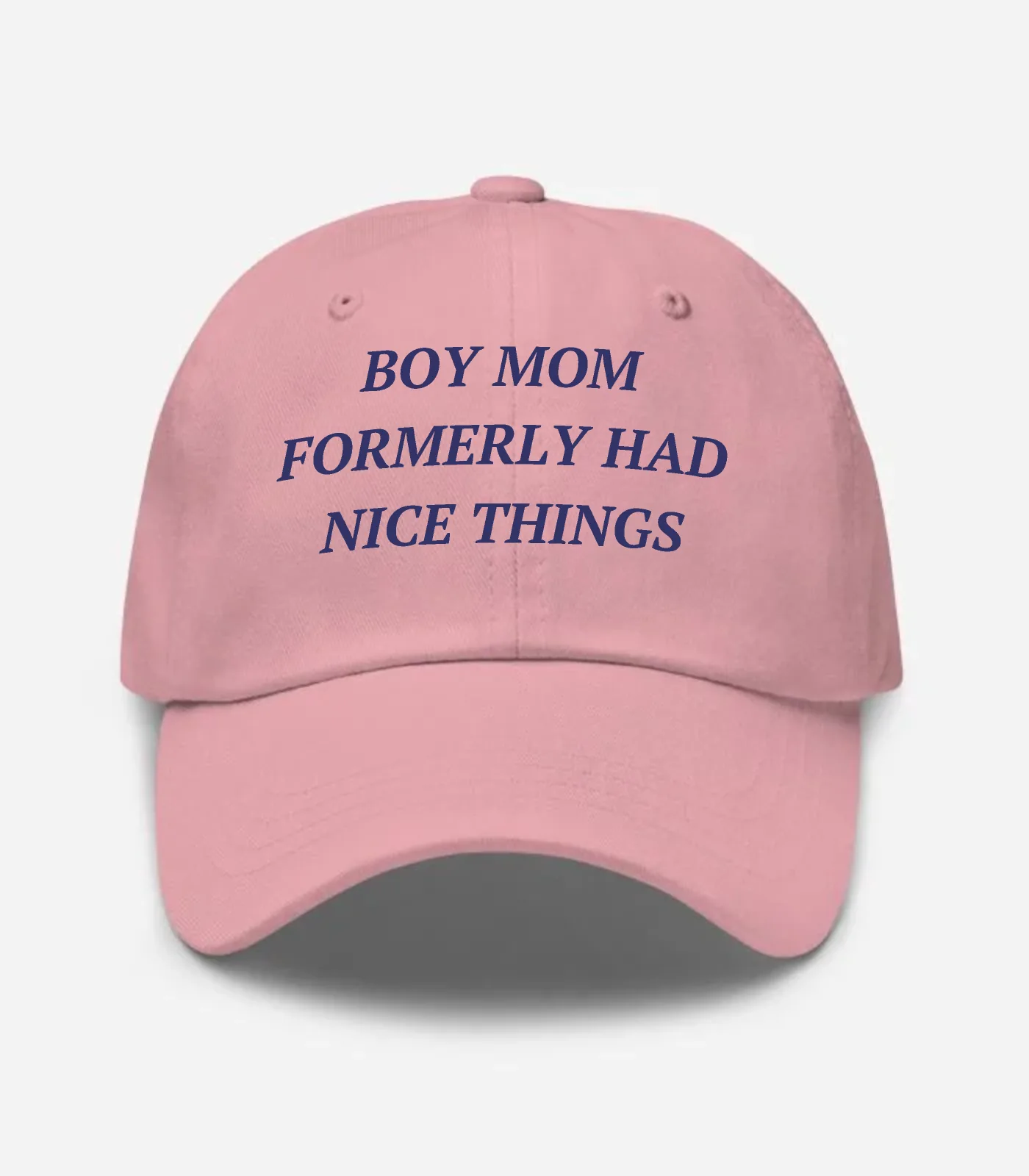 Boy Mom Formerly Had Nice Things Hat