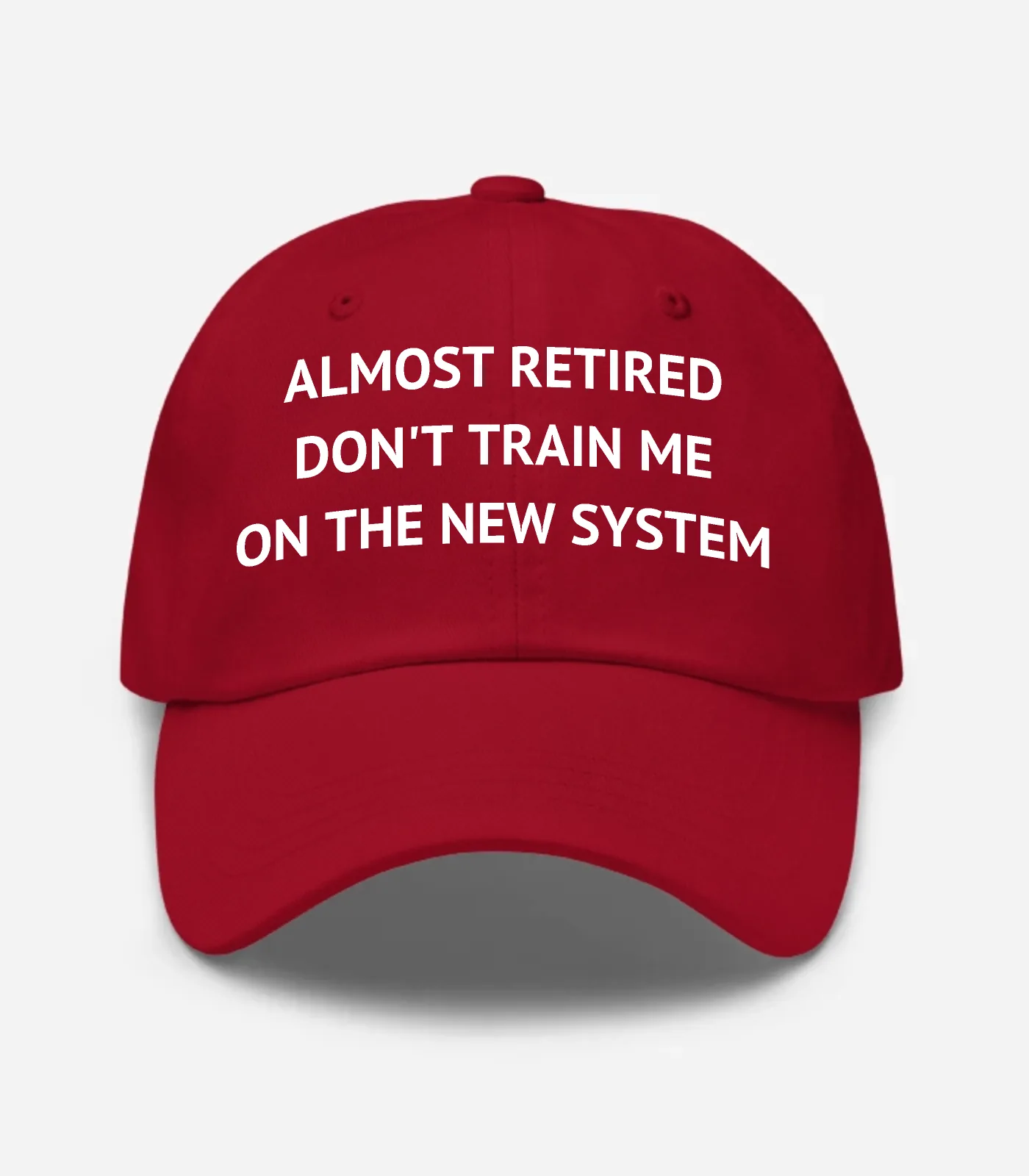 Almost Retired Don't Train Me On The New System Hat