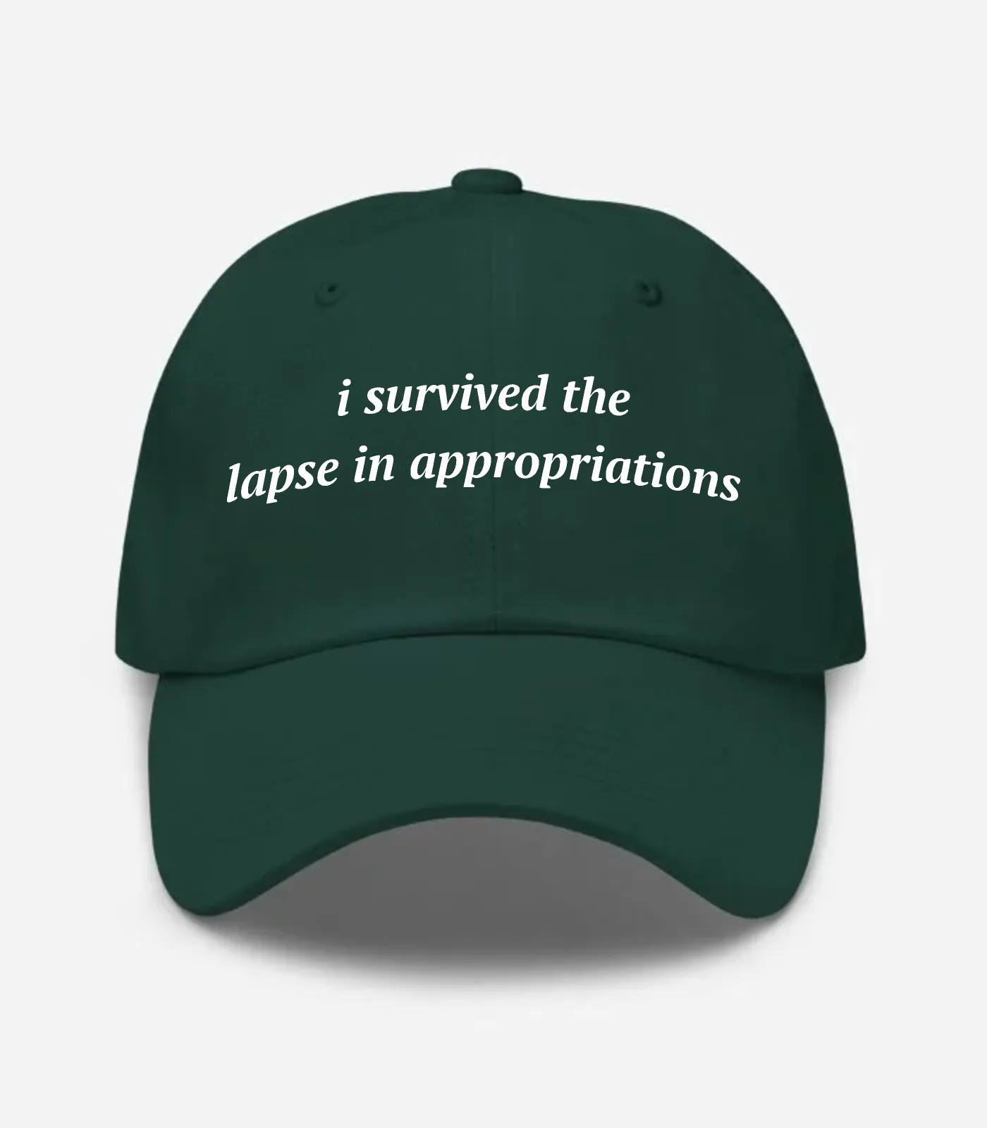 I Survived The Lapse In Appropriations Hat