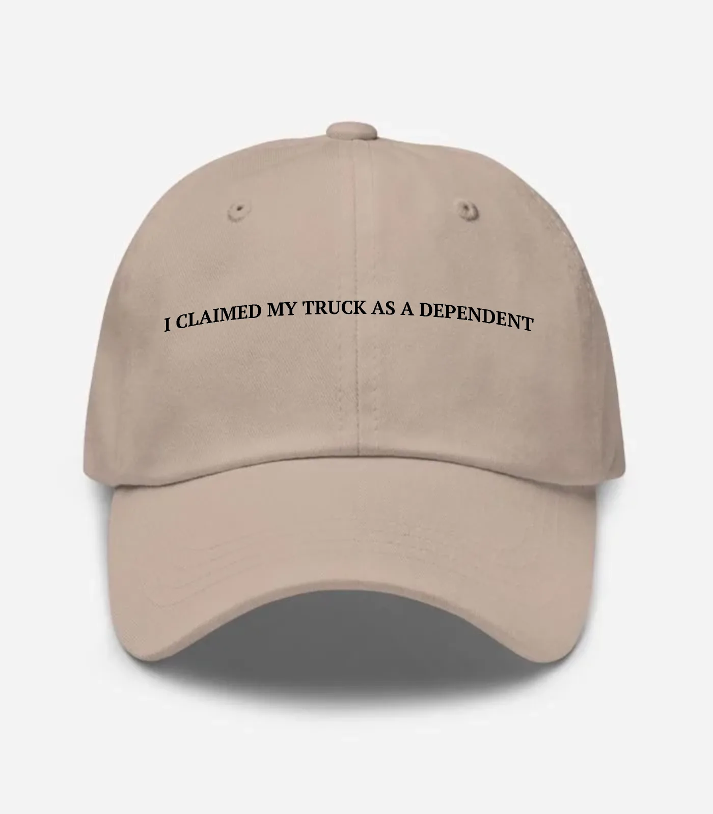 I Claimed My Truck As A Dep... Hat - Stone