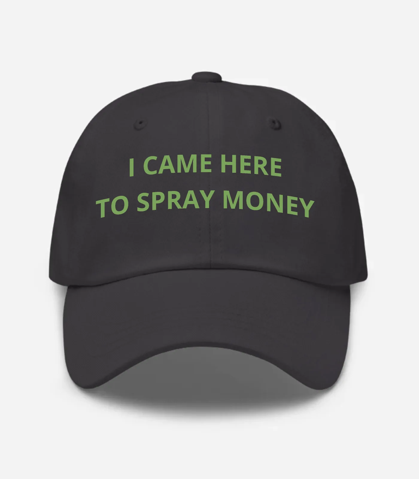 I Came Here To Spray Money Hat - Dark Grey