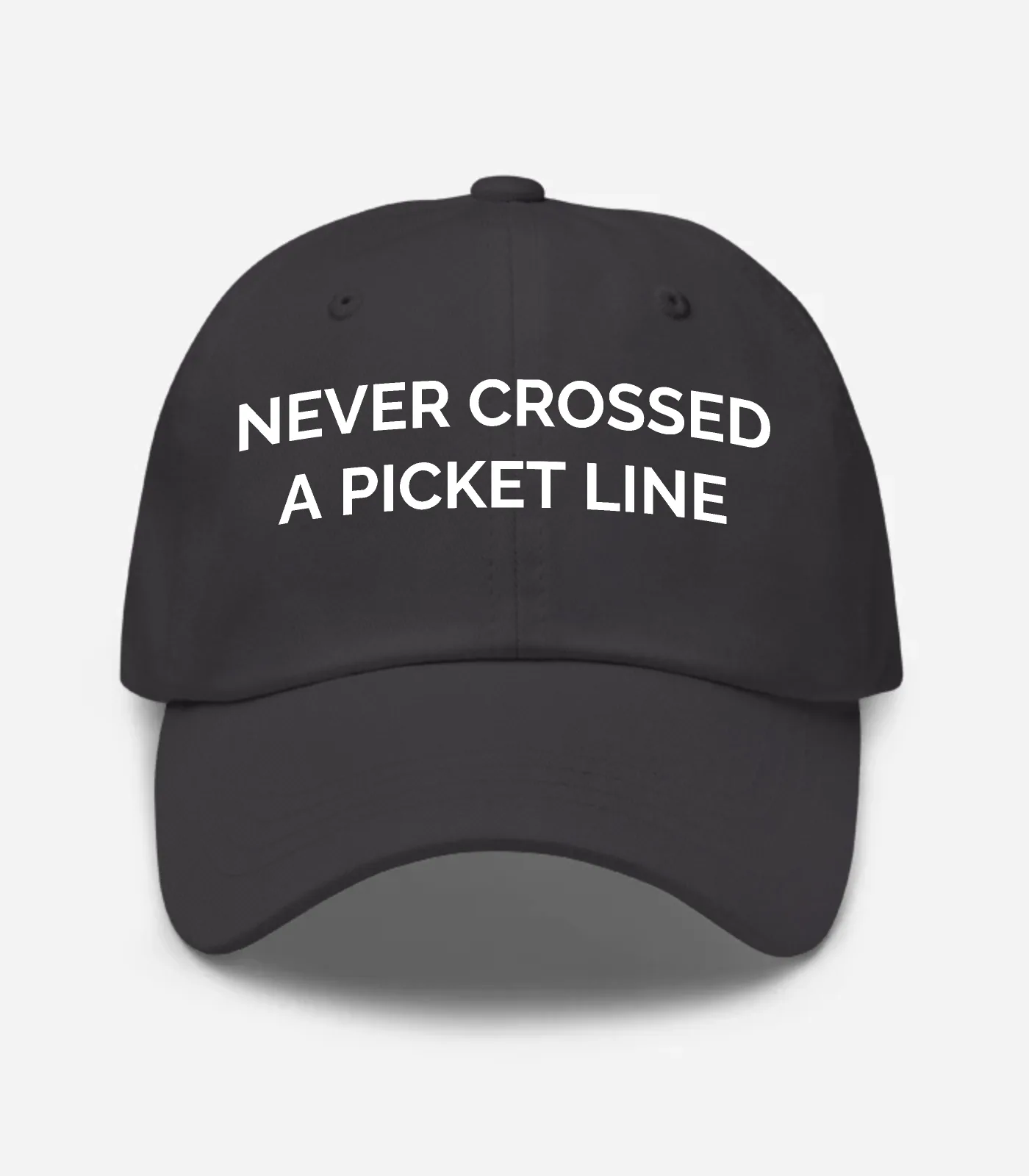 Never Crossed A Picket Line Hat