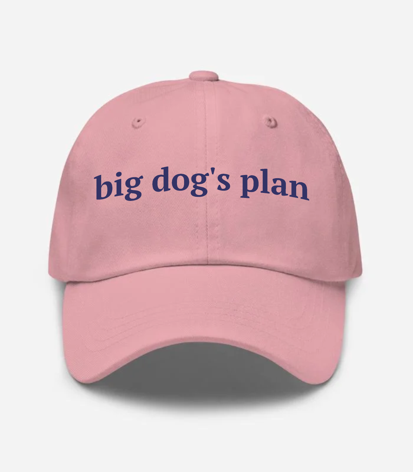 Big Dog's Plan Hat
