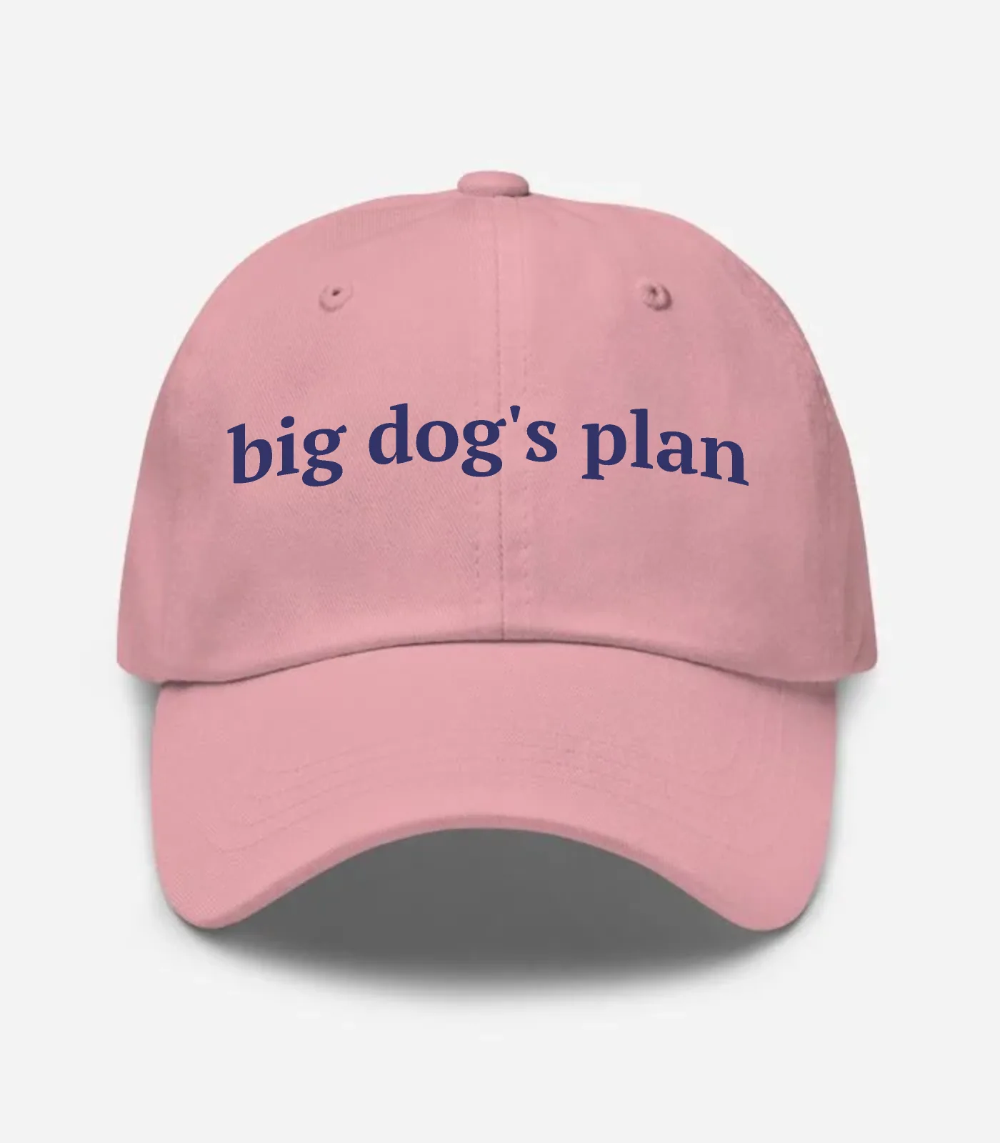 Big Dog's Plan Hat - Pink