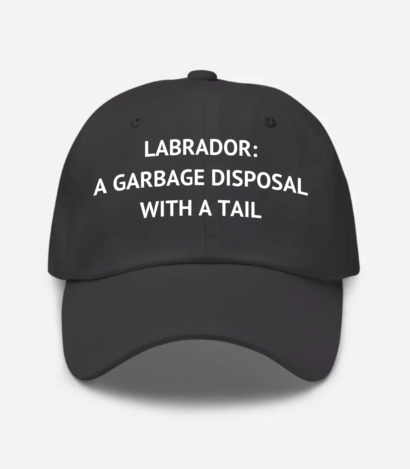 Labrador: A Garbage Disposal With A Tail Hat - Dark Grey