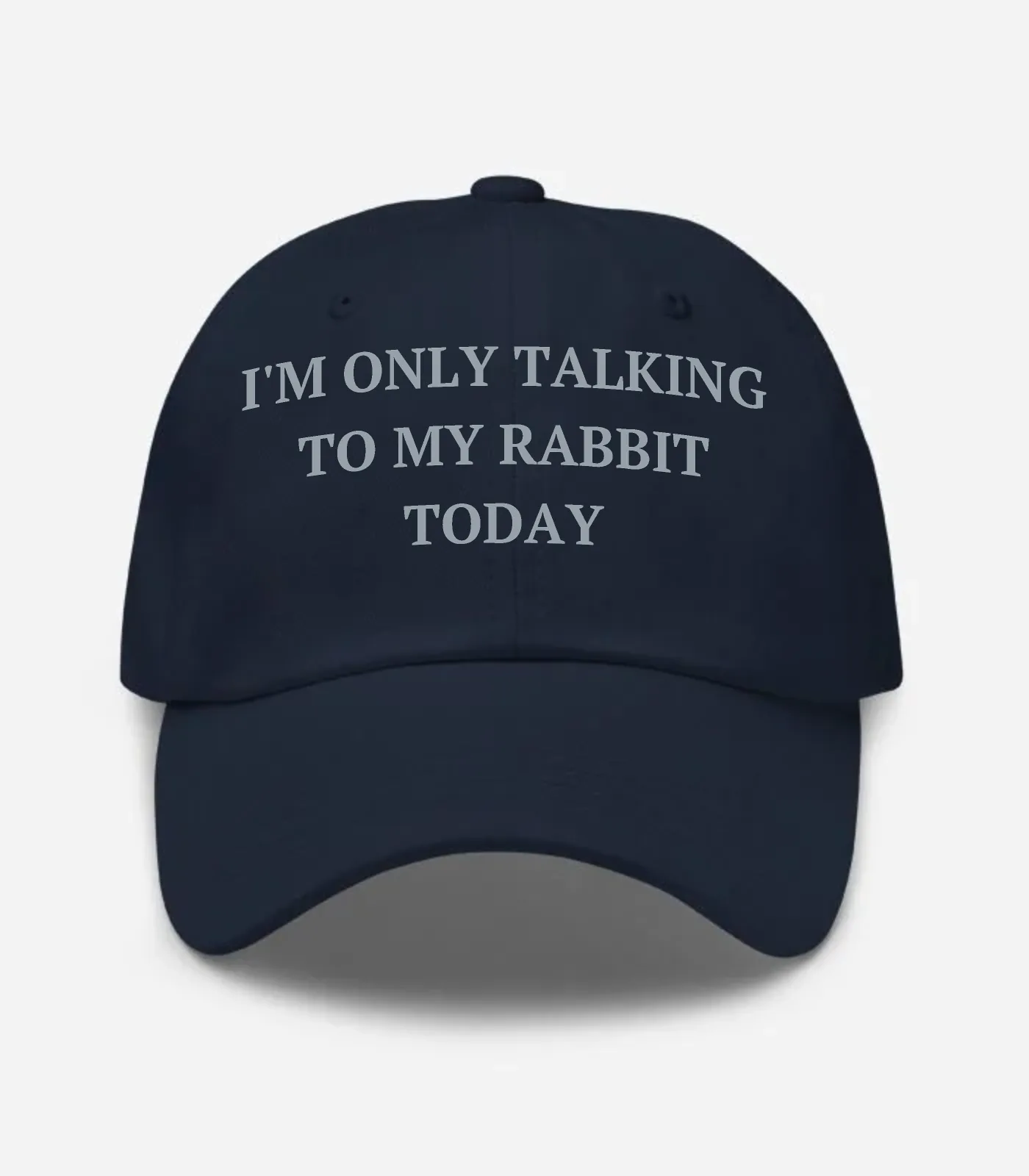 I'm Only Talking To My Rabbit Today Hat