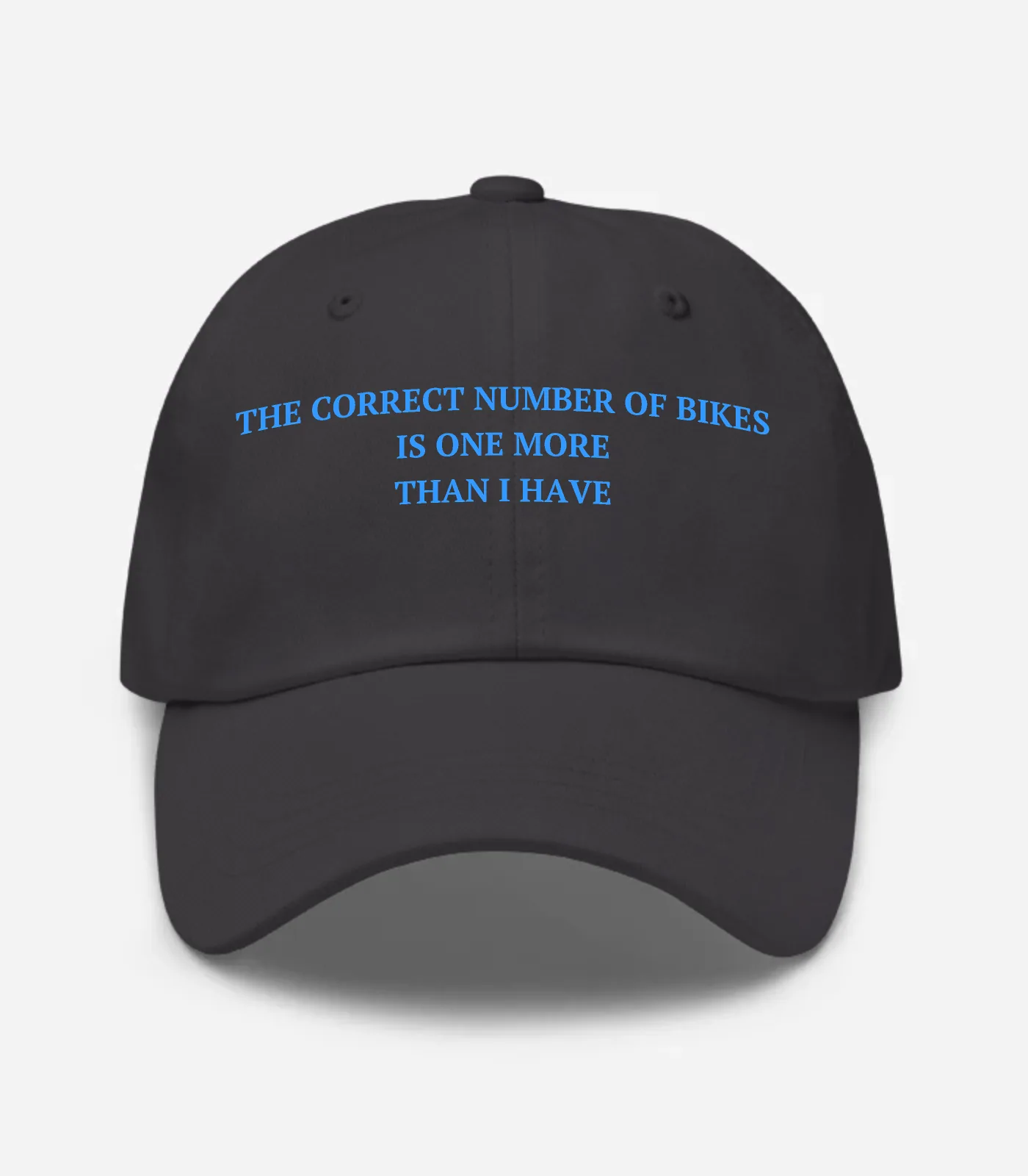 The Correct Number Of Bikes Is One More Than I Have Hat
