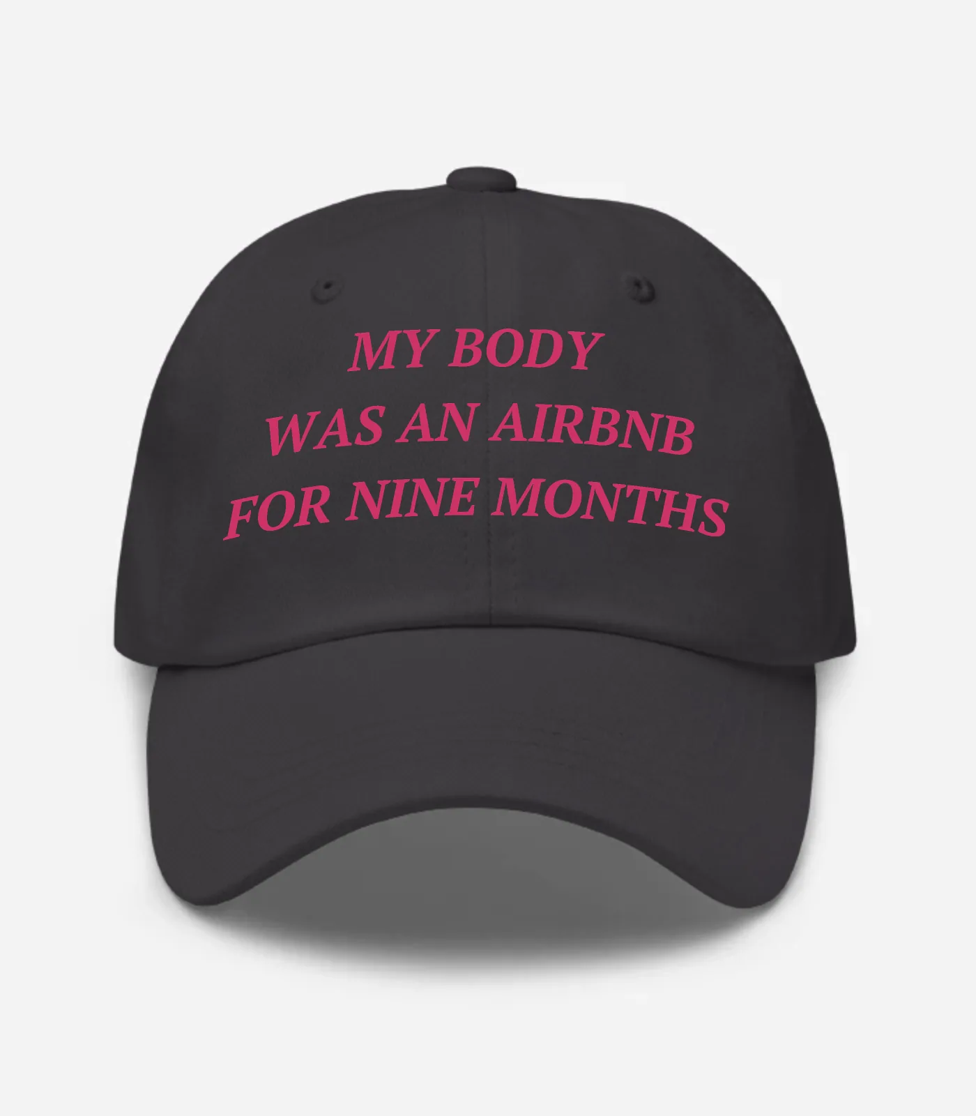 My Body Was An Airbnb For Nine Months Hat - Dark Grey