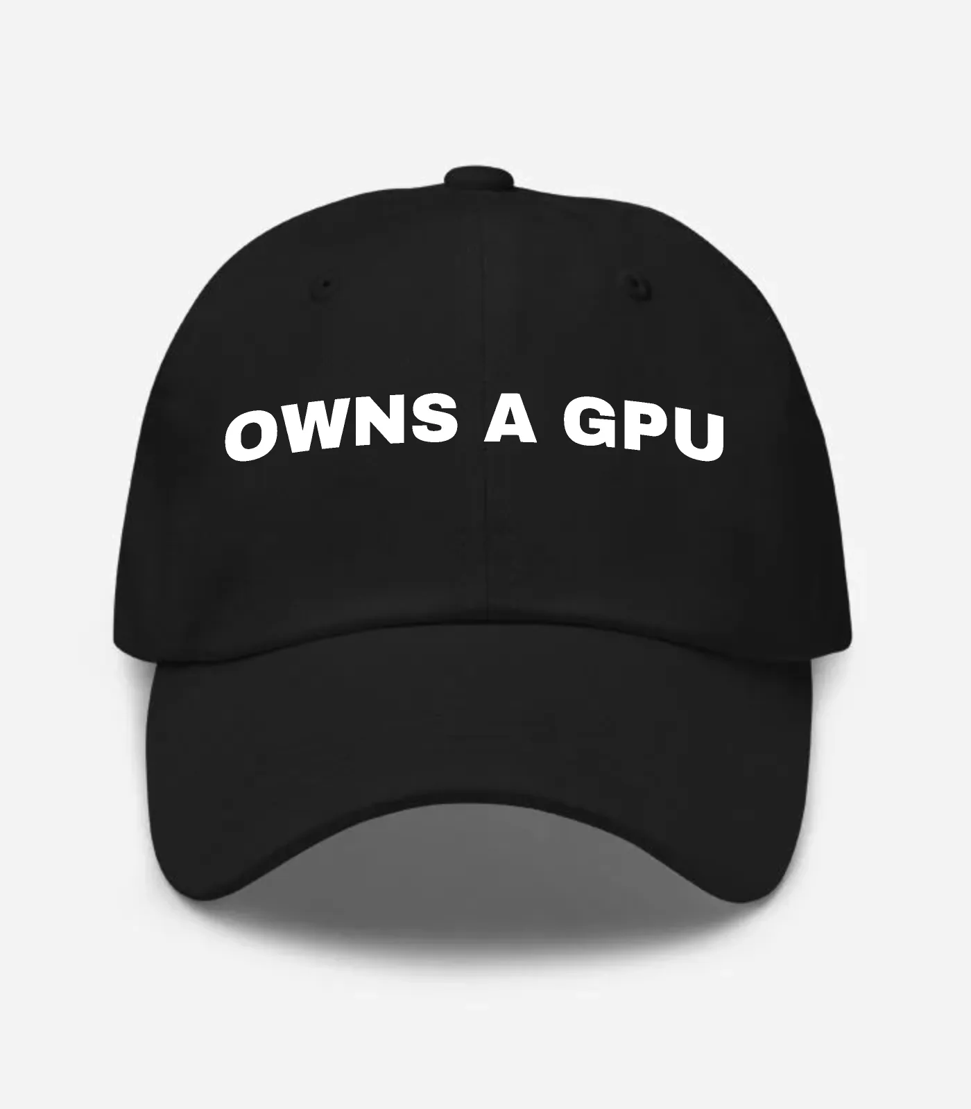 Owns A Gpu Hat