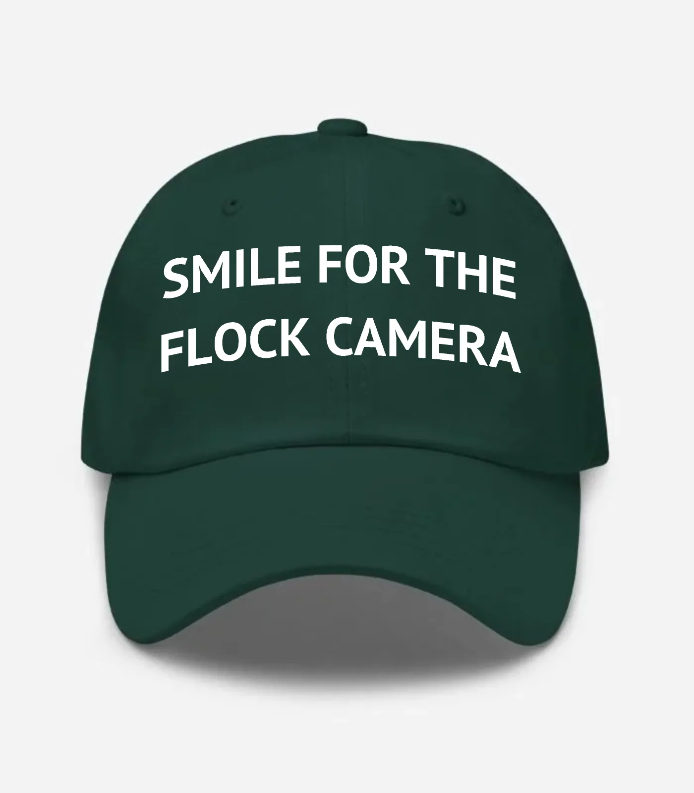 Smile For The Flock Camera Hat - Spruce