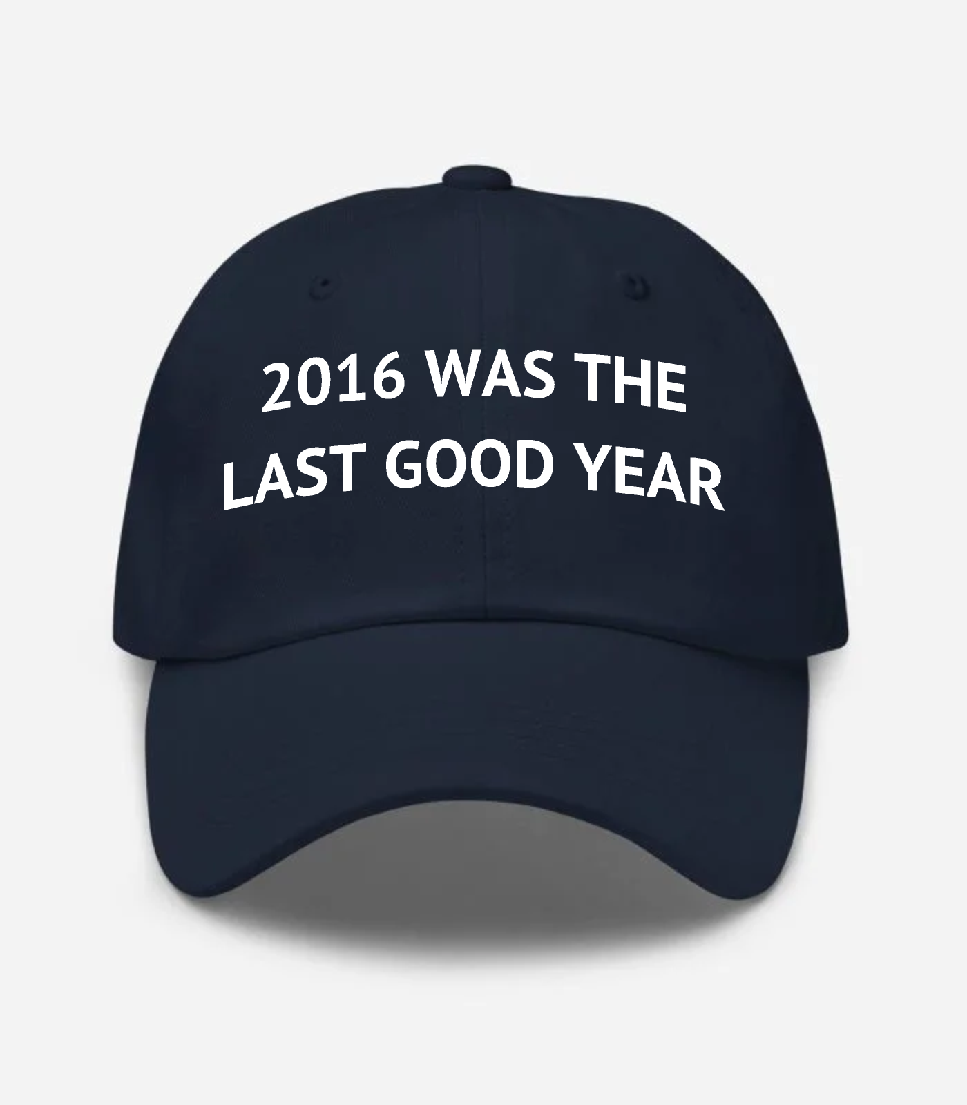 2016 Was The Last Good Year Hat - Navy
